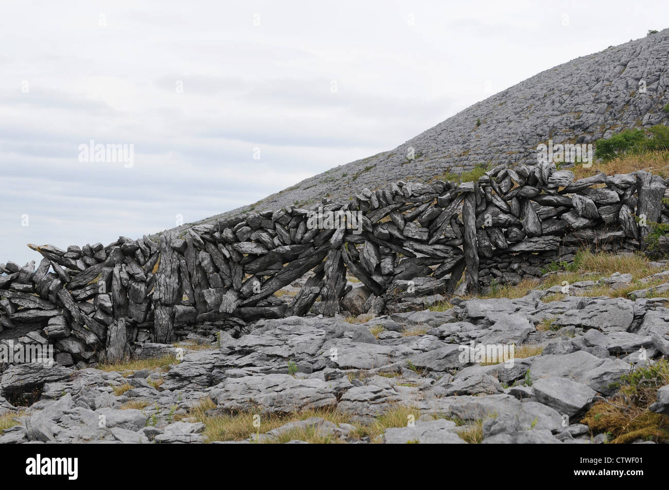 Burren, County Clare, Ireland. Stone walls mark land boundaries and help keep livestock in one place. Stock Photo