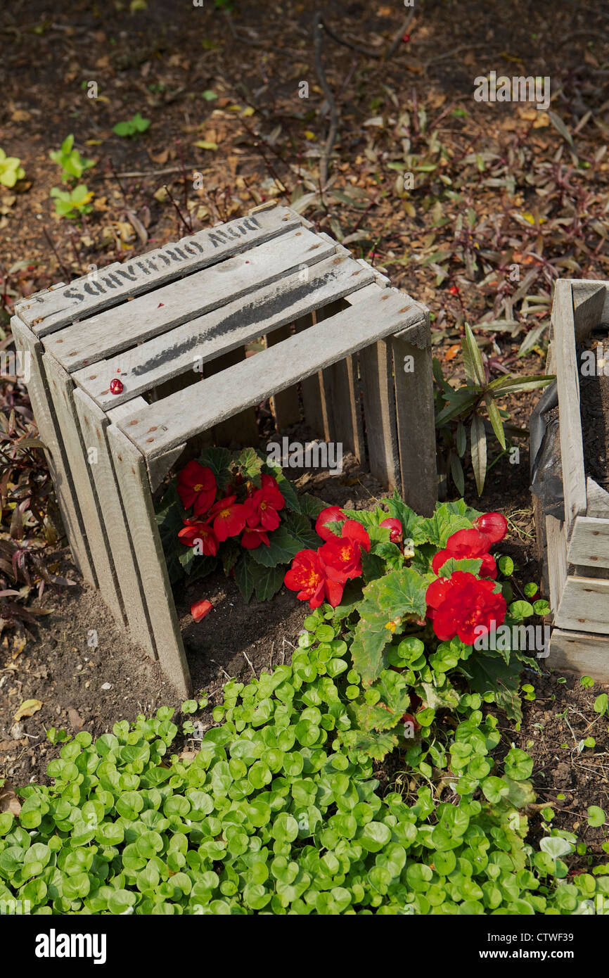 Wooden crate converted into a planter and made to look like it's