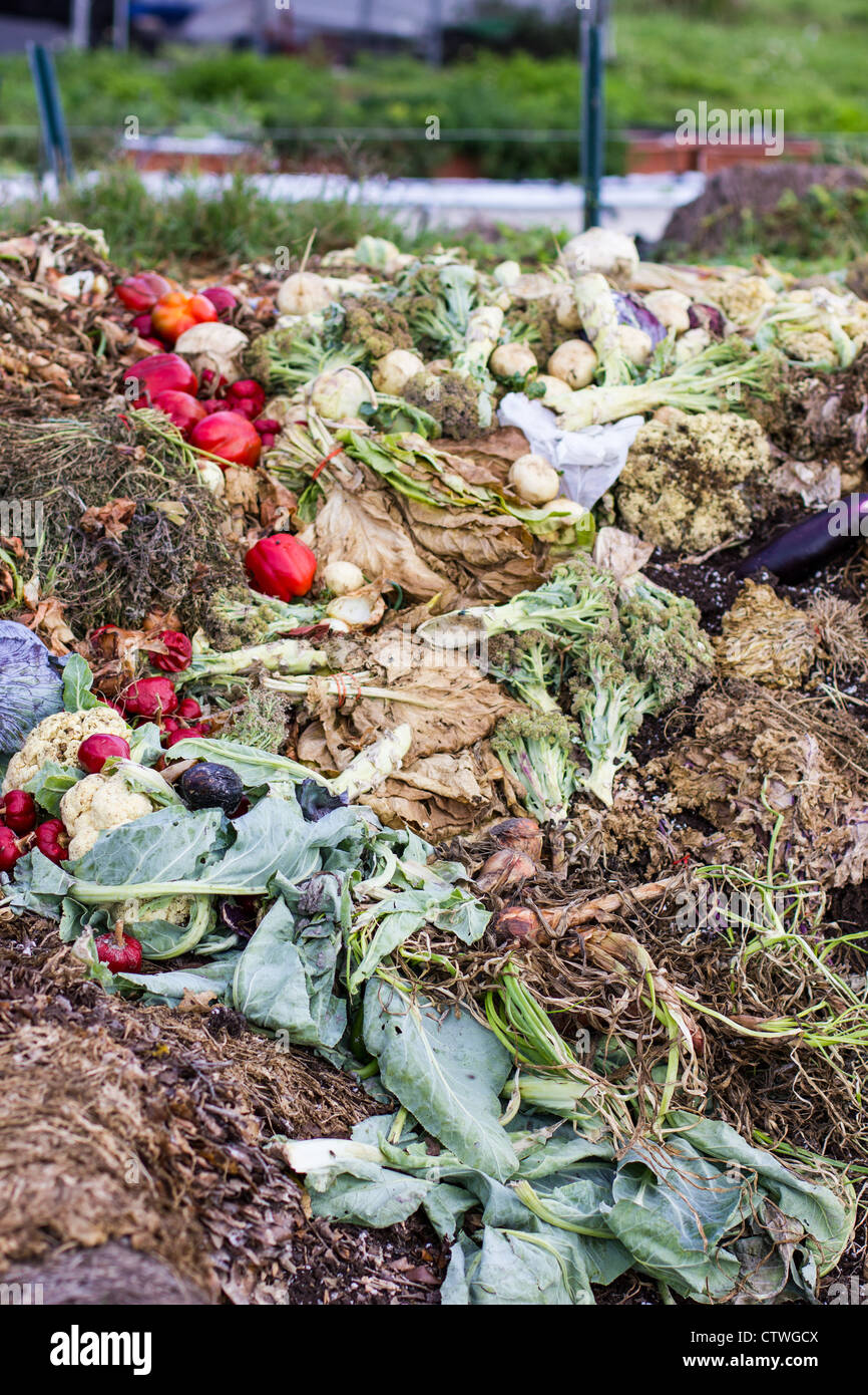 Rotting vegetables on a compost pile Stock Photo Alamy