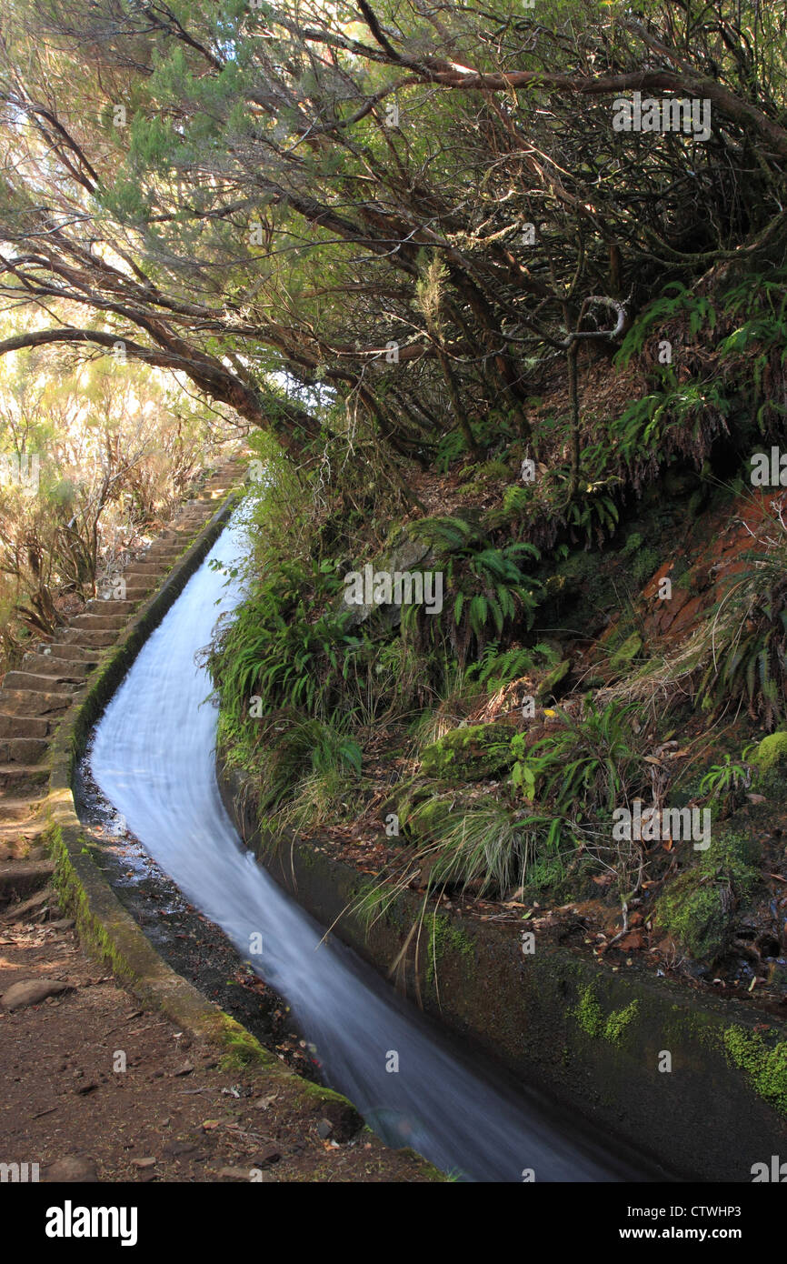 Levada near Rabacal, Madeira, Portugal Stock Photo - Alamy