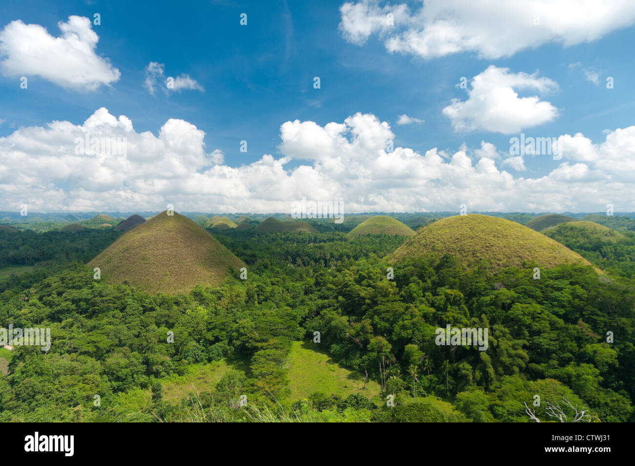view over the famous chocolate hills on Bohol, Philippines. They are also featured in the provincial flag Stock Photo
