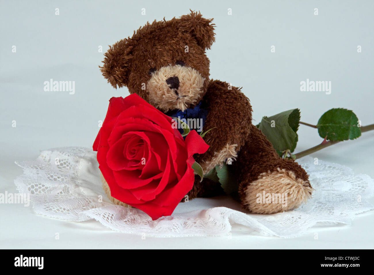 CUTE TEDDY BEAR ON BEAUTIFUL RED ROSE Stock Photo - Alamy