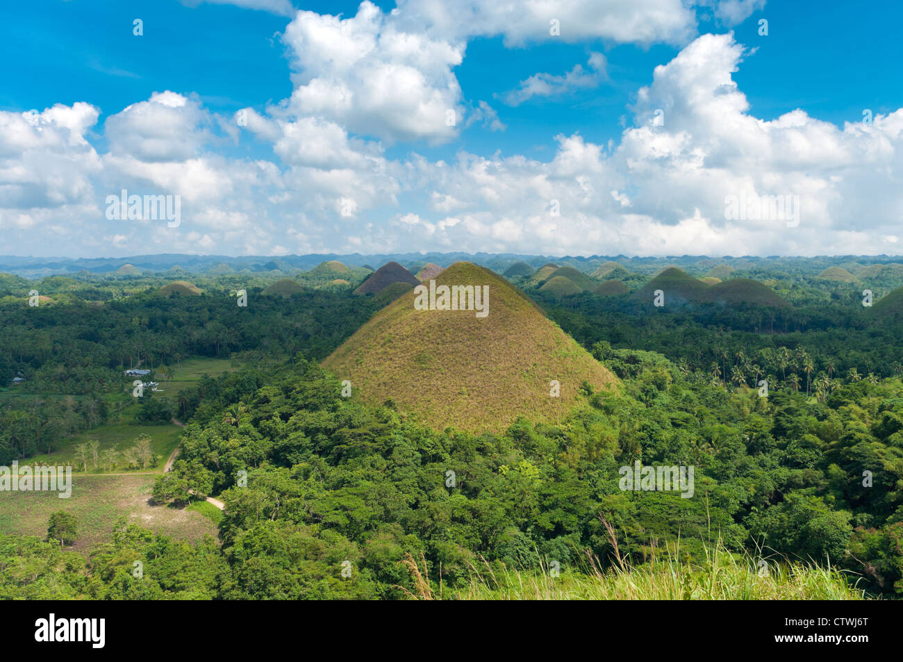 view over the famous chocolate hills on Bohol, Philippines. They are also featured in the provincial flag Stock Photo
