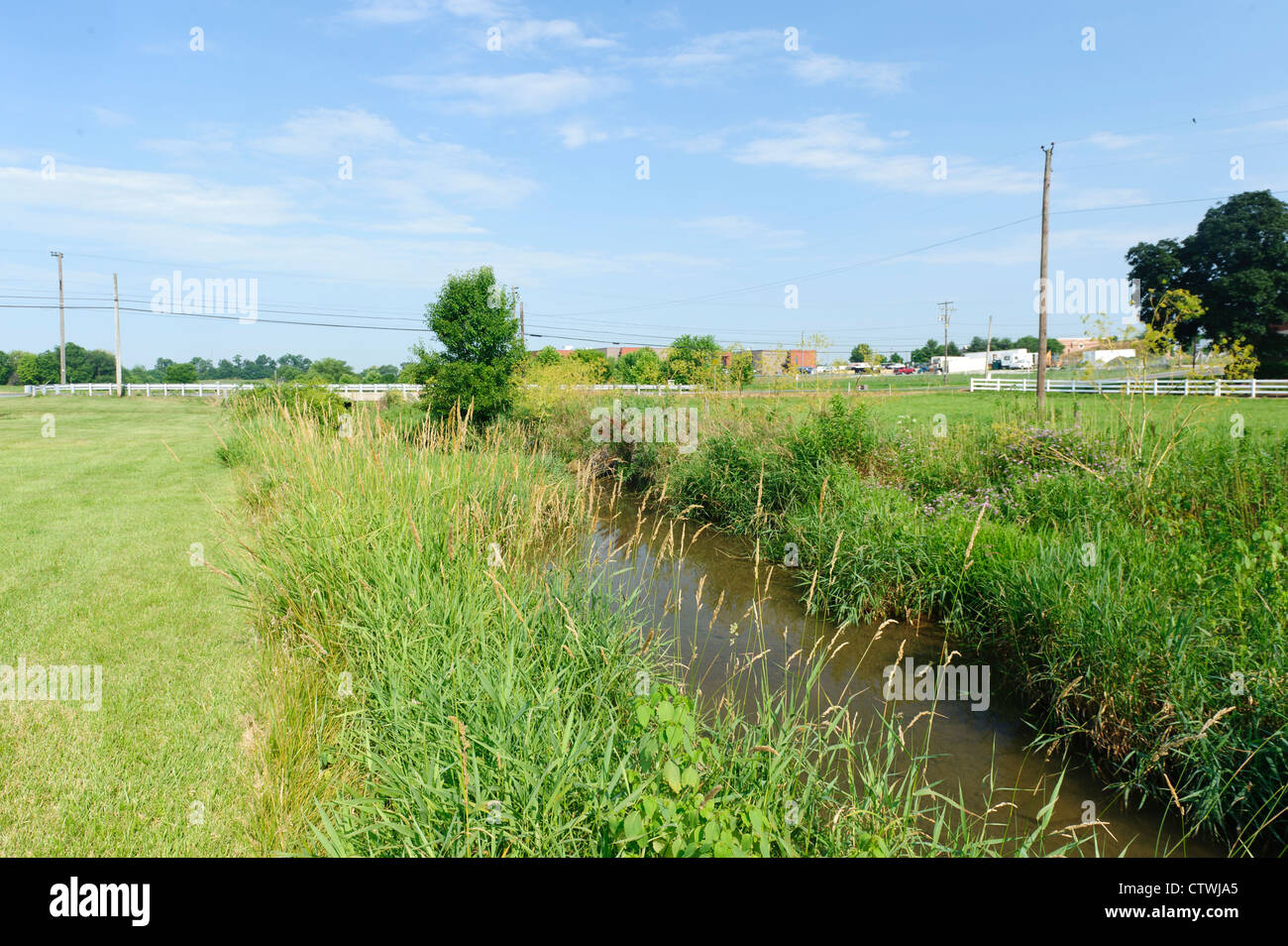 RIPARIAN BUFFER GROWTH ALONG BANKS OF SWARR RUN LANCASTER, PENNSYLVANIA