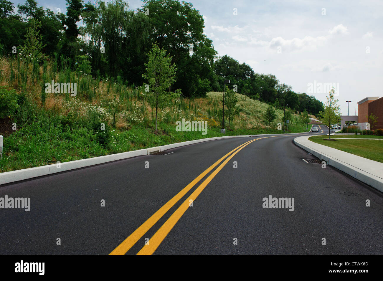 EROSION CONTROL USING PLANTS AND TREES ON STEEP HILLSIDE Stock Photo