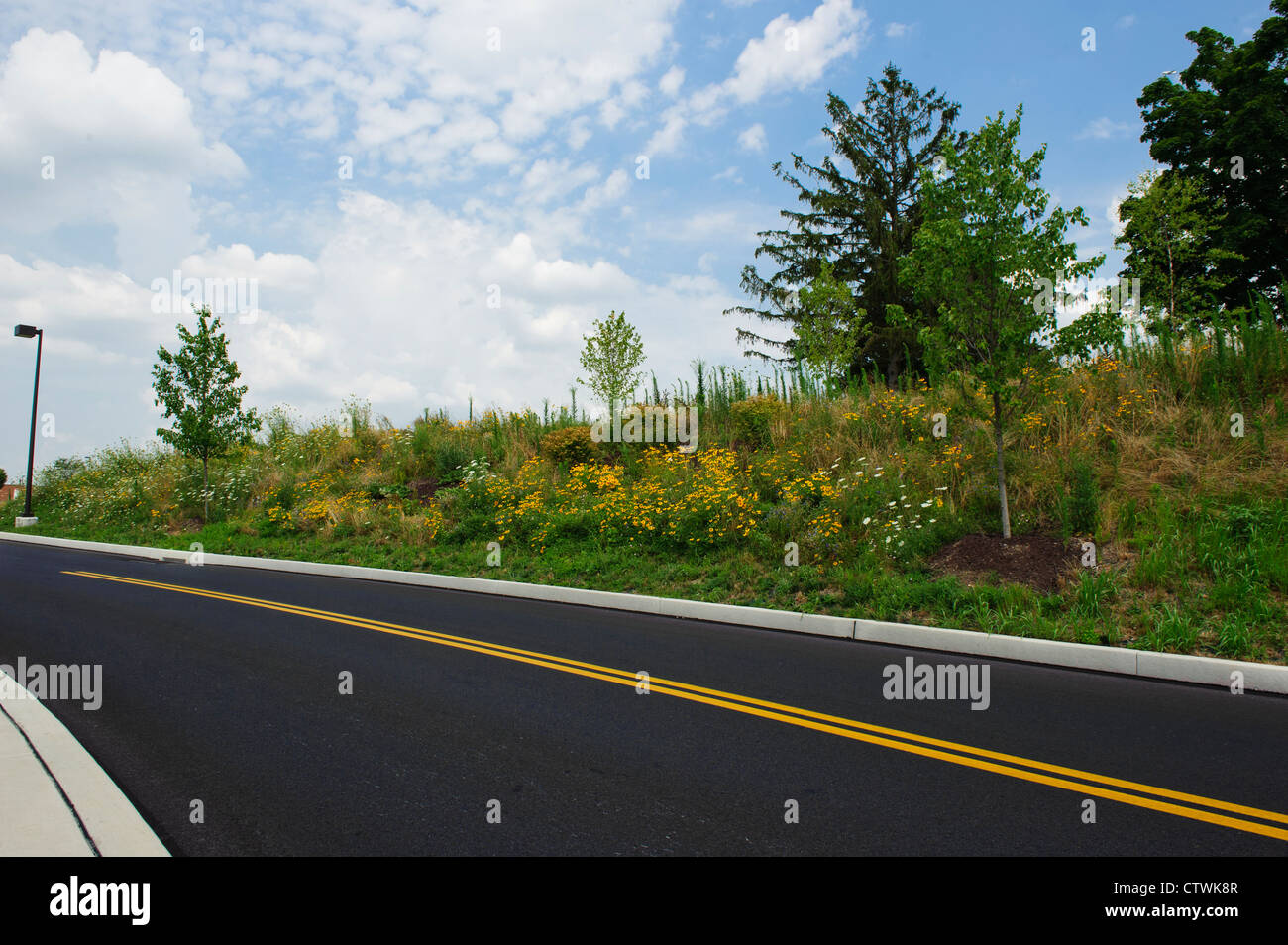 EROSION CONTROL USING PLANTS AND TREES ON STEEP HILLSIDE Stock Photo