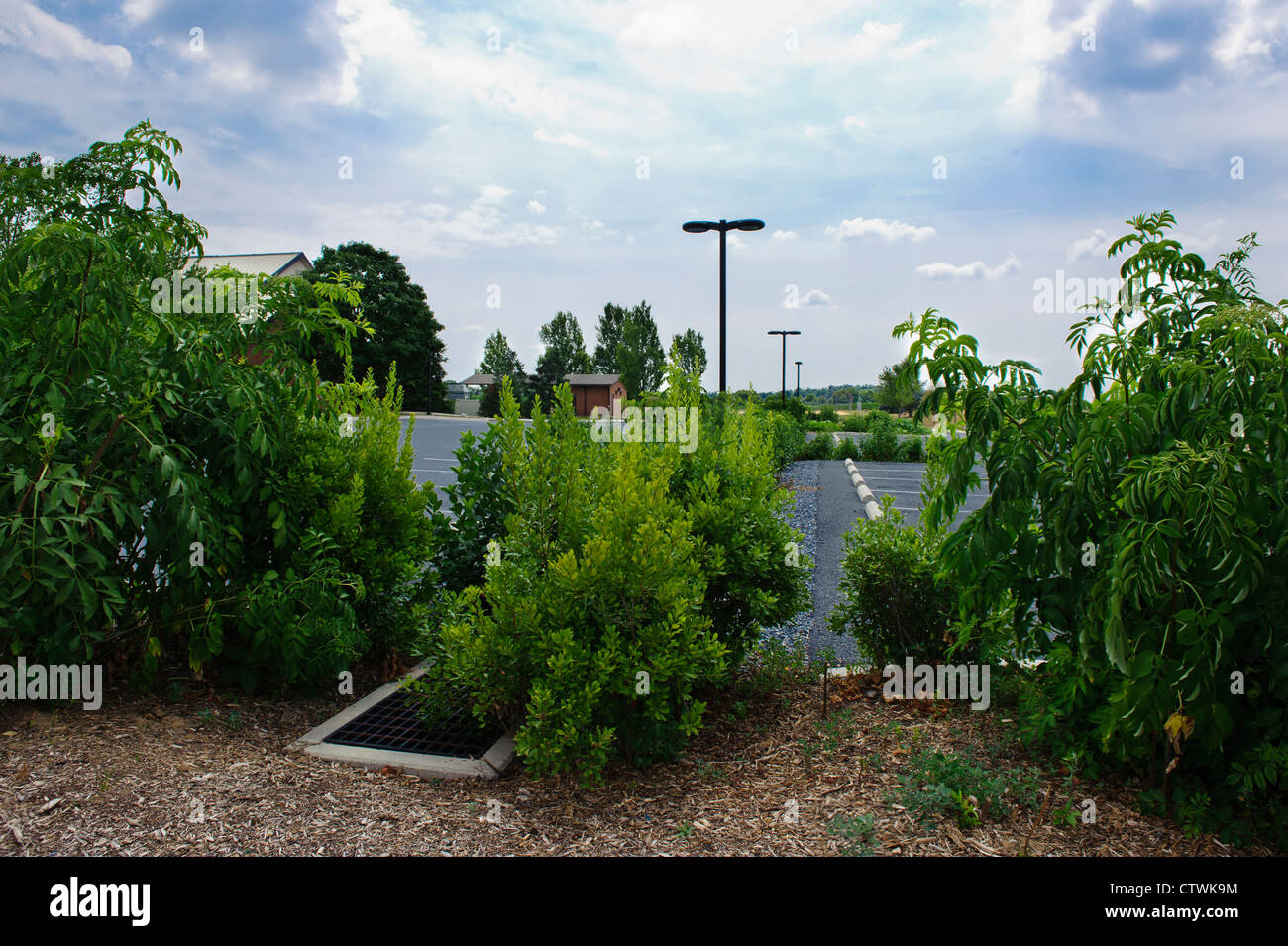 VEGETATED SWALE WITH OVERFLOW DRAIN IN PARKING LOT WITH PERMEABLE PAVEMENT FOR WATER INFILTRATION Stock Photo