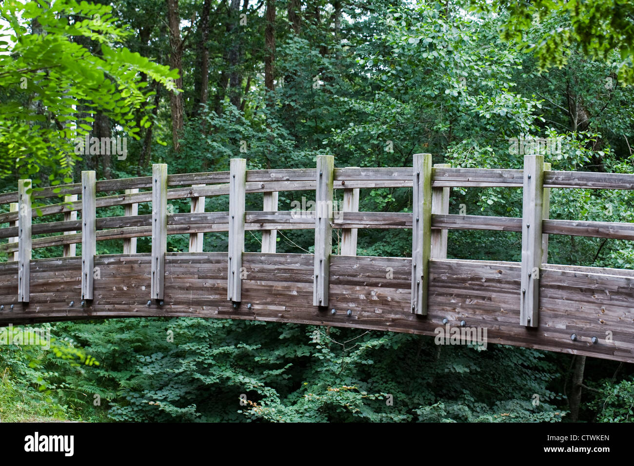 Wooden bridge across La Brame river, France. Stock Photo