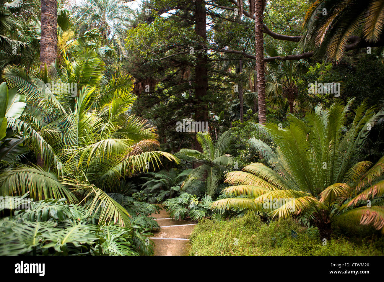 Botanical Gardens Malaga Spain Stock Photo 49737016 Alamy