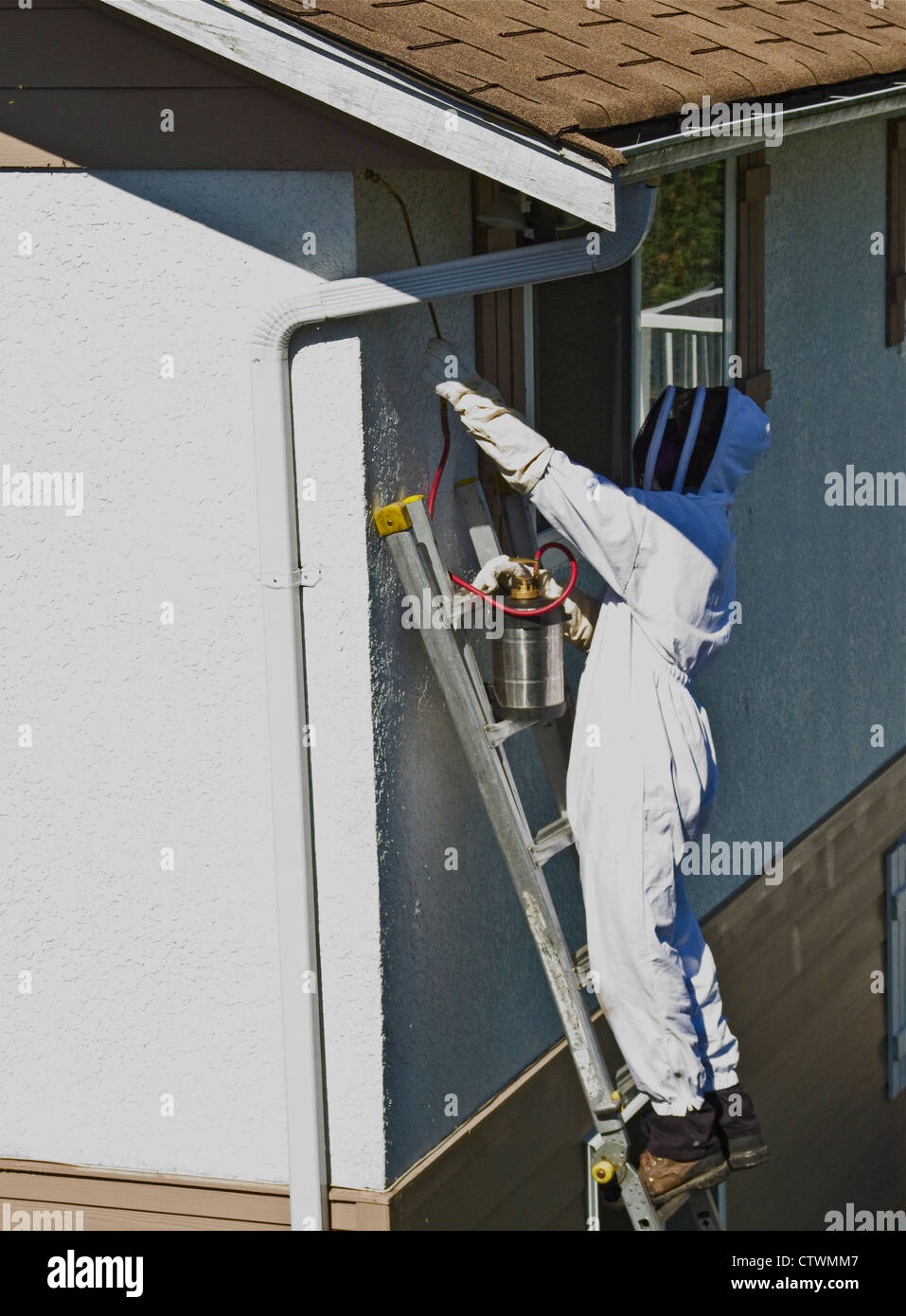 Pest control specialist spraying yellow jacket's nest area Stock Photo