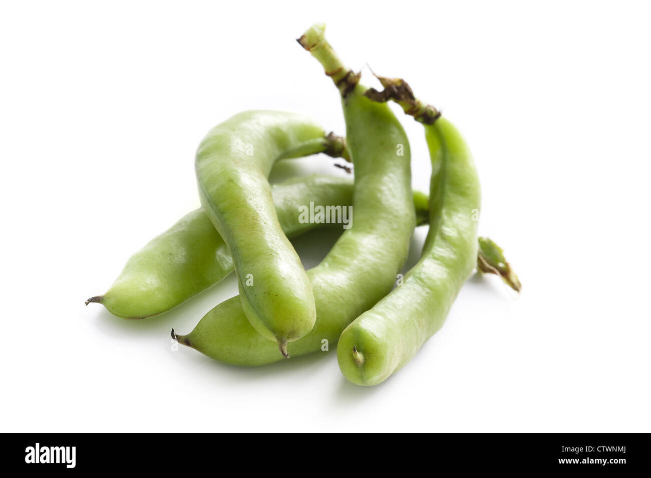 fresh broad beans or fava bean in pods on a white background Stock Photo