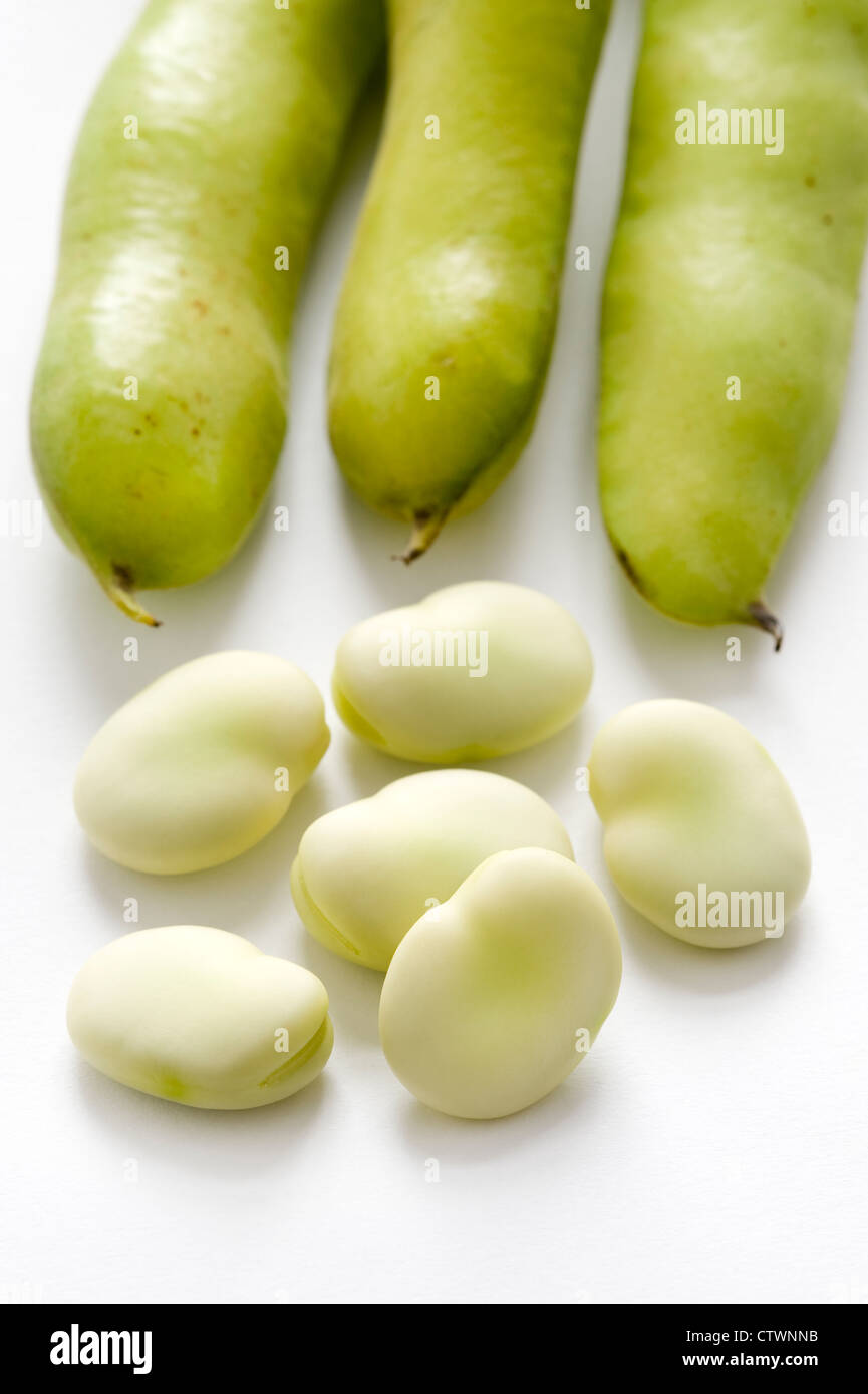 fresh broad beans or fava bean on a white background includes pods and shelled beans Stock Photo