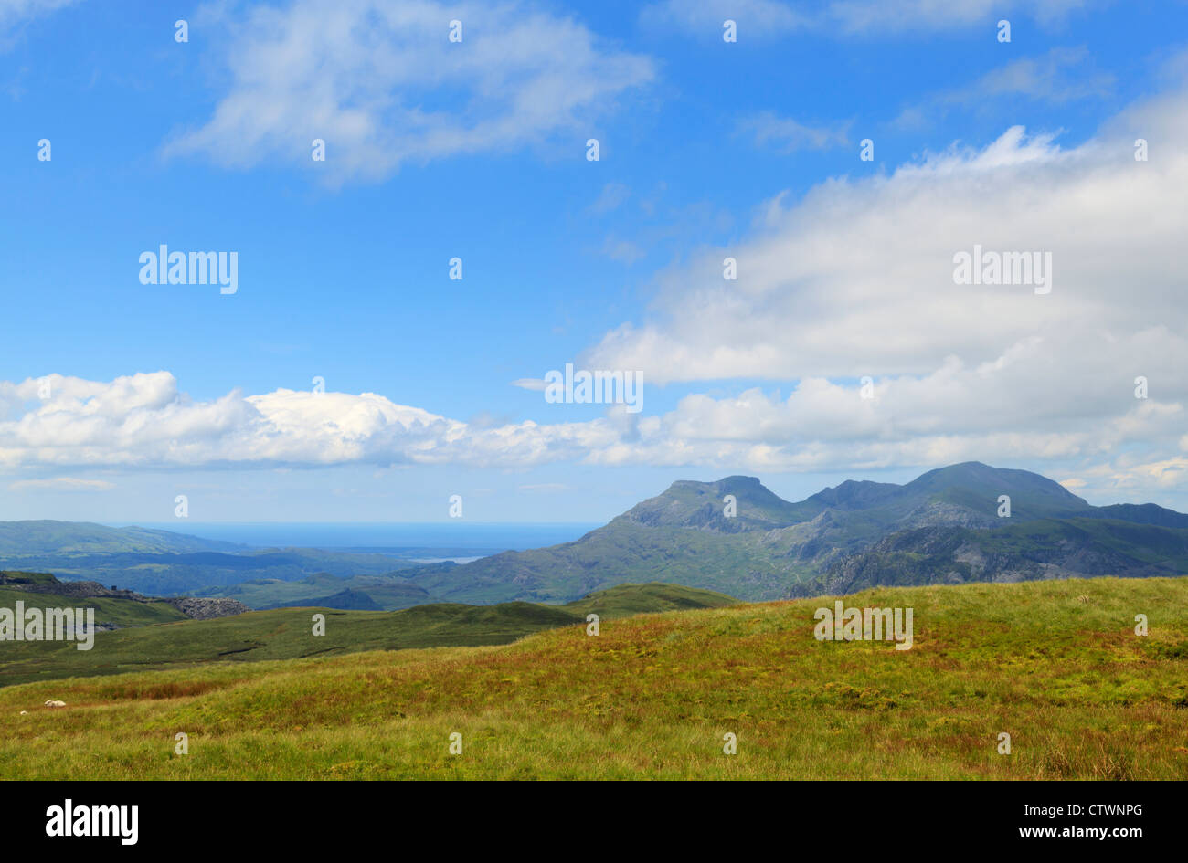 A view towards the Moelwyns from near Foel Fras Stock Photo