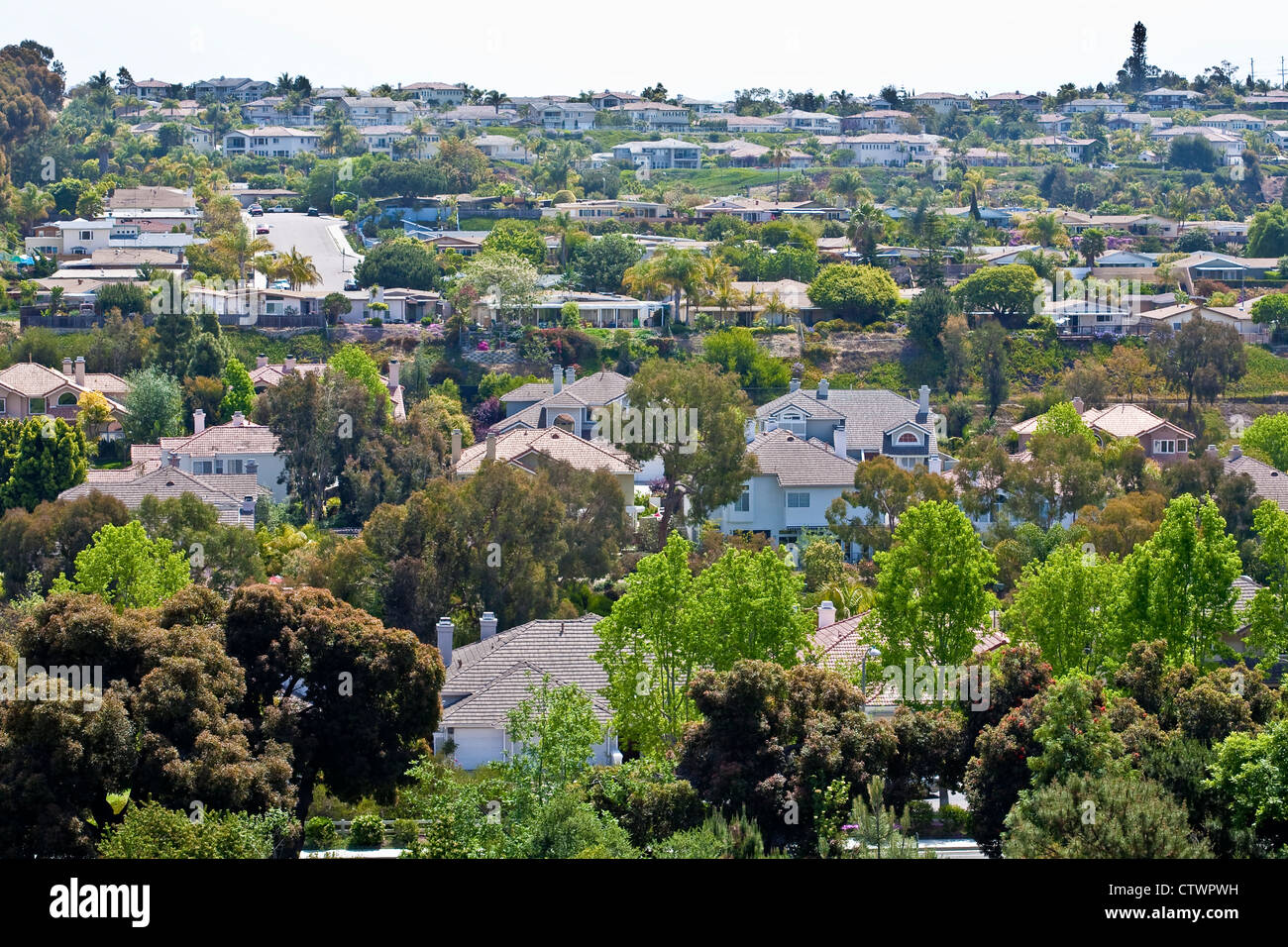 Subsurban sprawl houses on hillside in Encinitas, CA US. Stock Photo