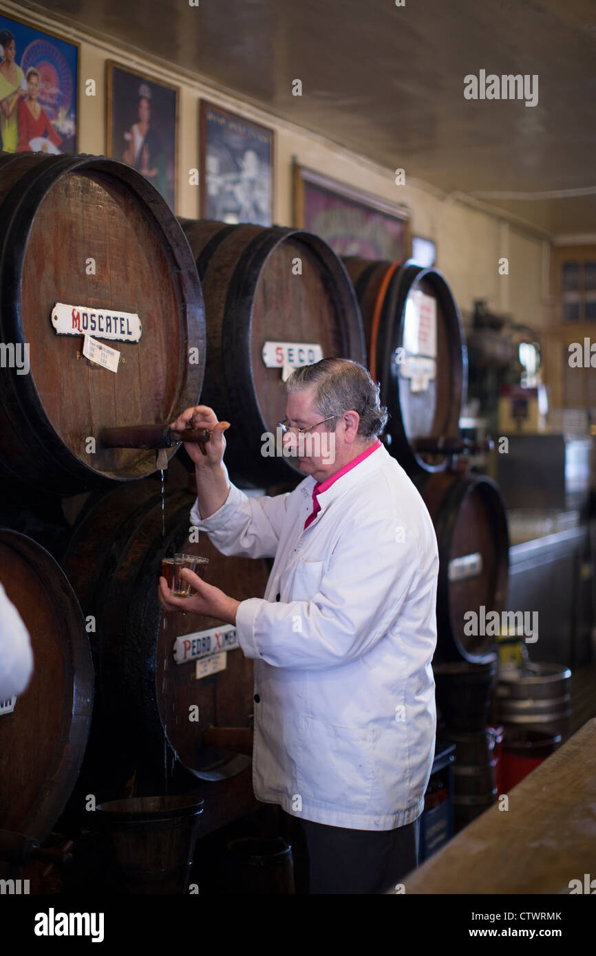 Traditional Seafood tapas and wine bar Malaga Spain Stock Photo Alamy