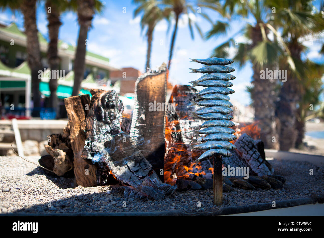 Cooking sardines on beach Malaga Spain Stock Photo Alamy