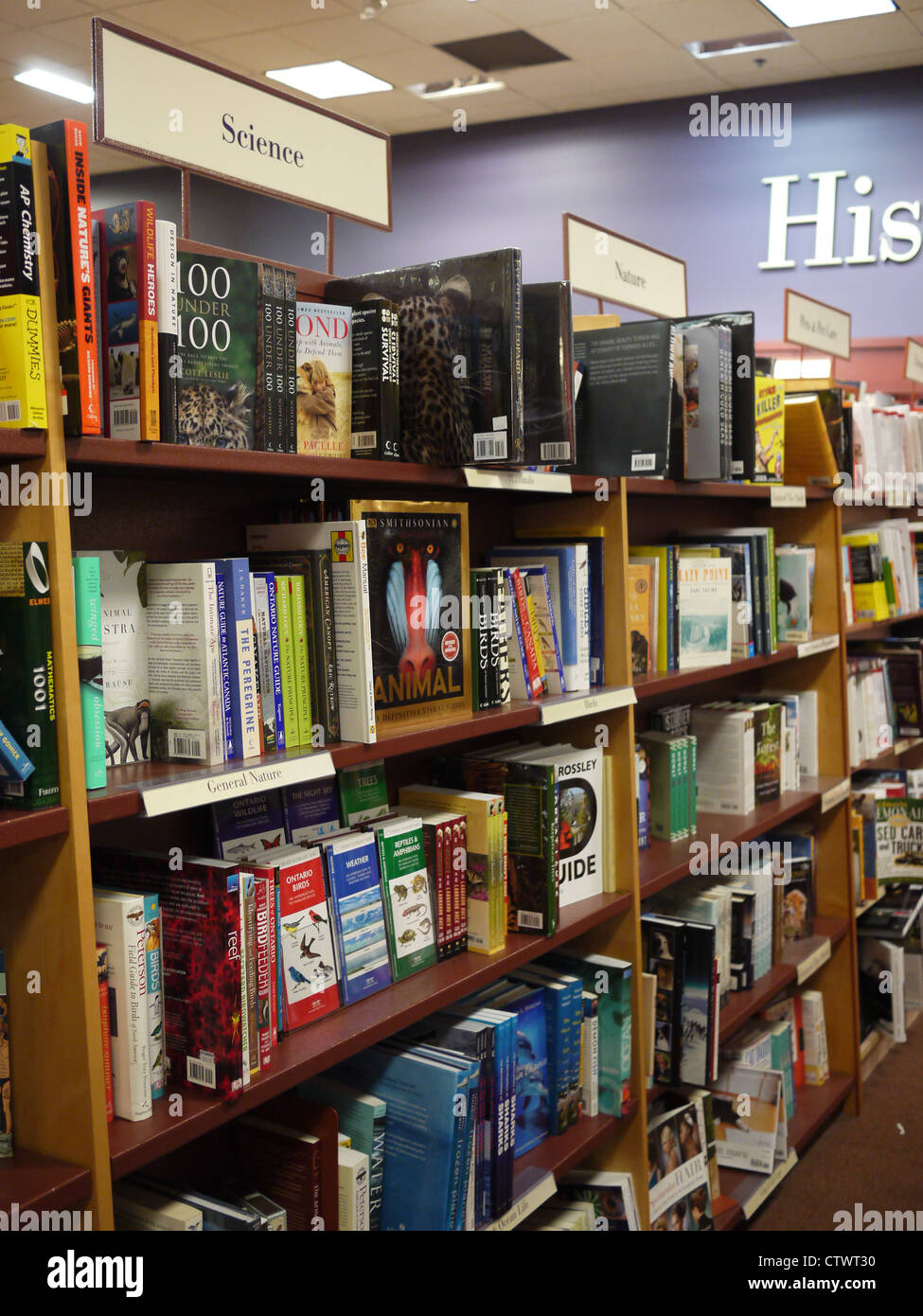 book store interior bookshelf shelves stack Stock Photo