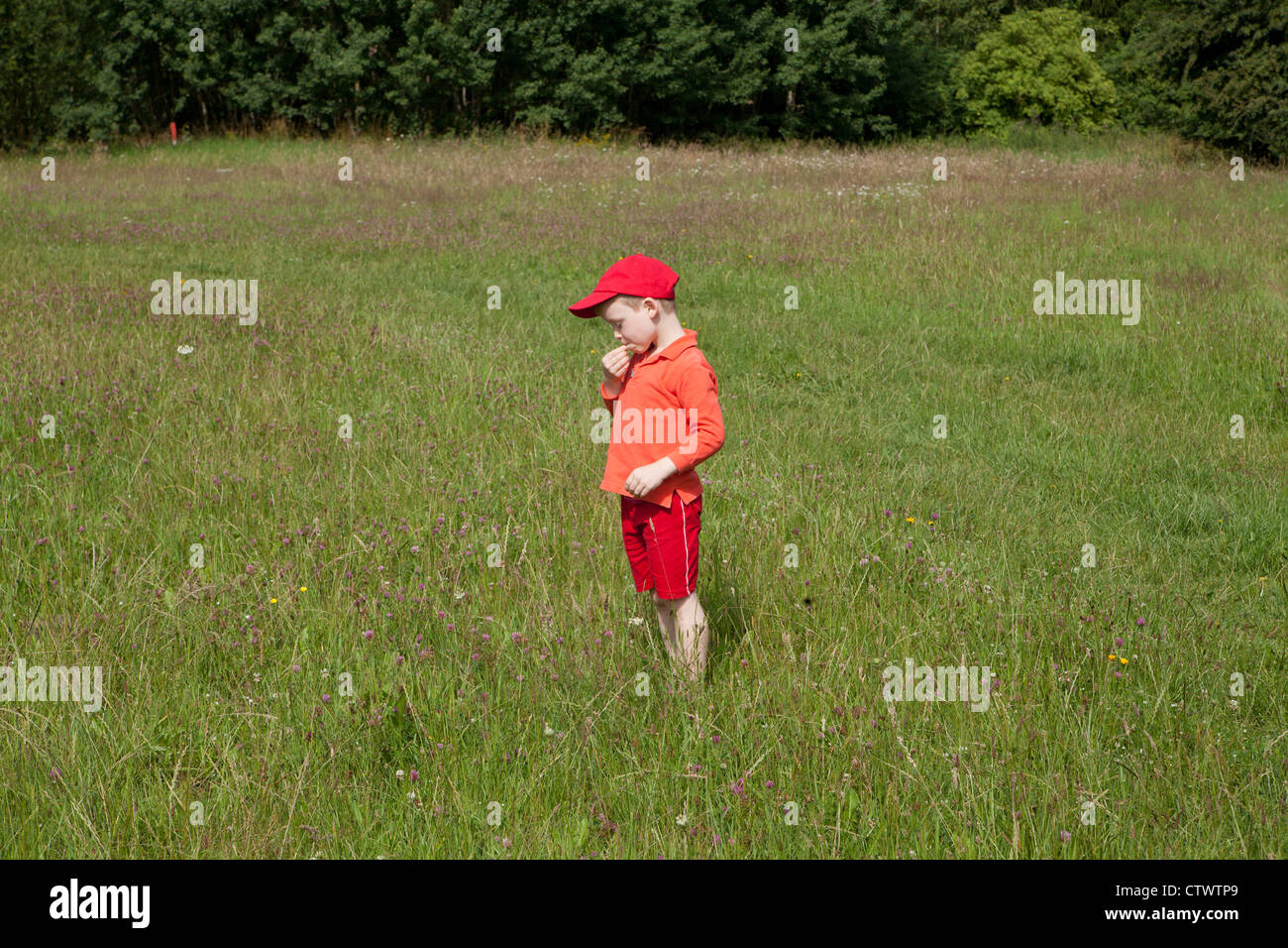 young boy standing in a meadow Stock Photo