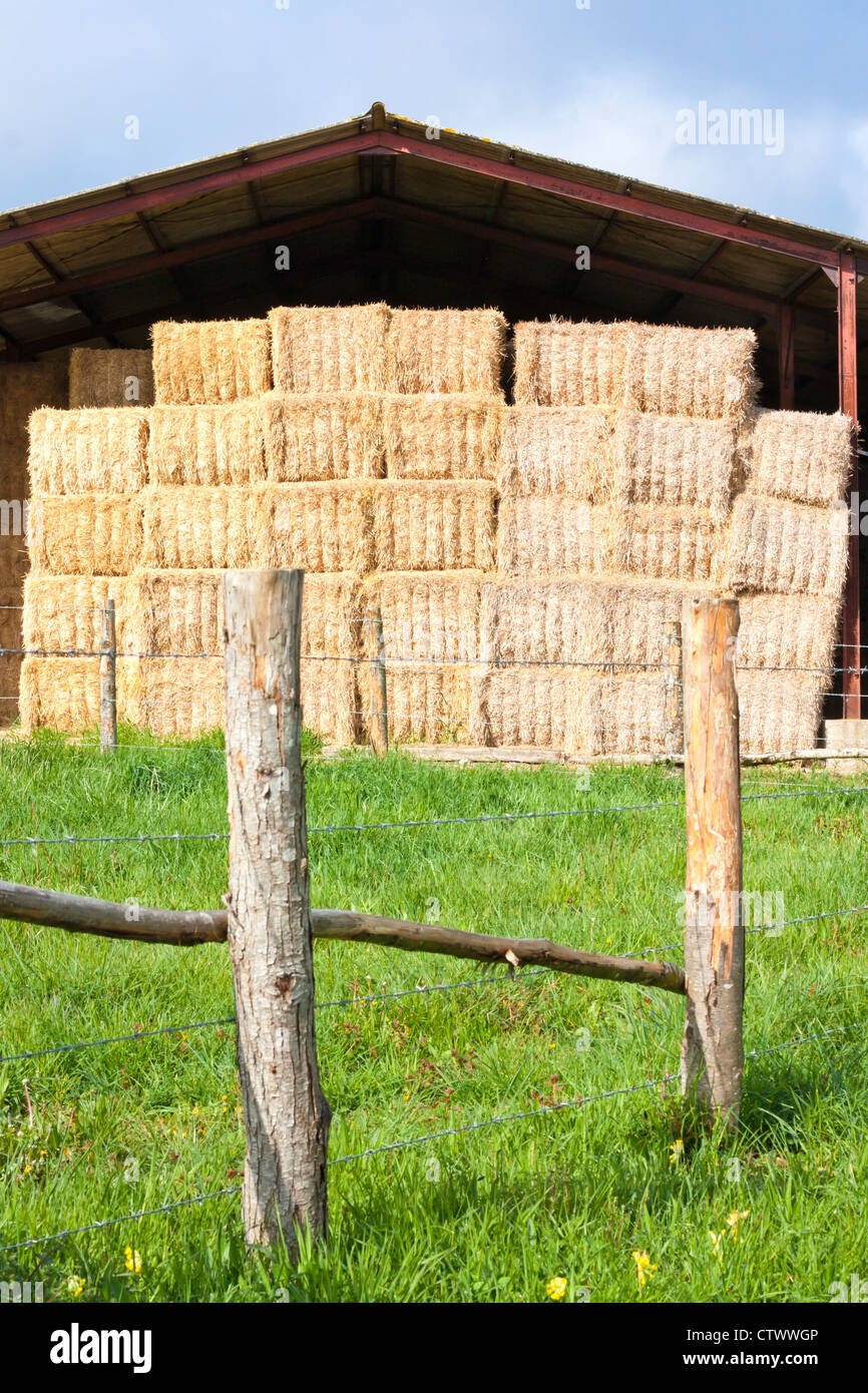 Haystack stored on a French farm with a fence in the foreground Stock Photo