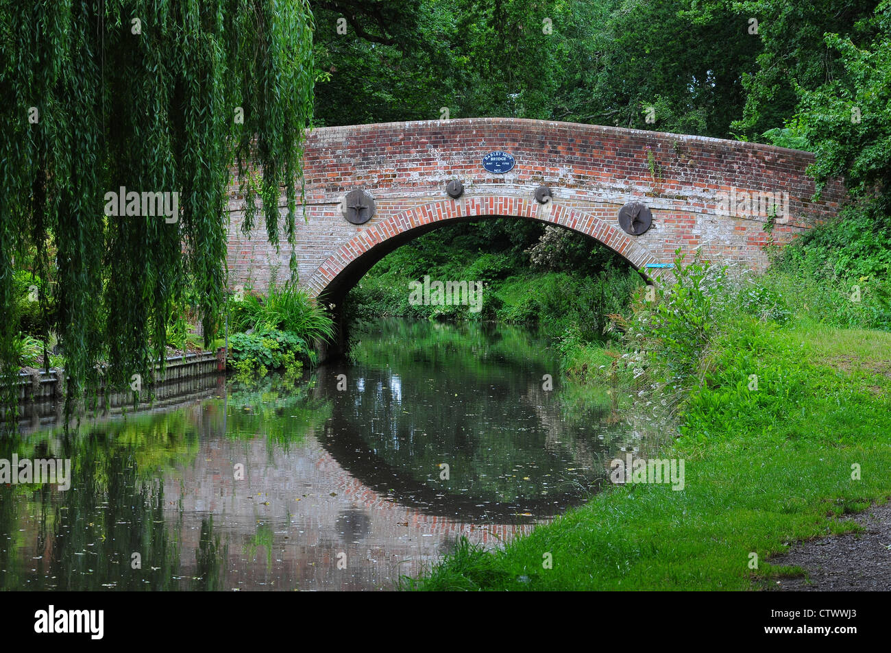 A bridge on the Basingstoke canal with its reflection UK Stock Photo