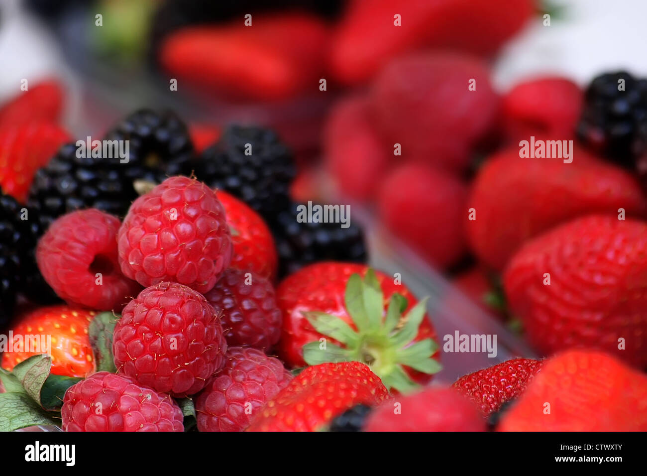 Berry fruits Stock Photo