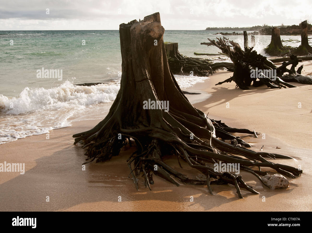 Baldwin Beach, Maui with the sand tide out. Hawaii, USA. Stock Photo