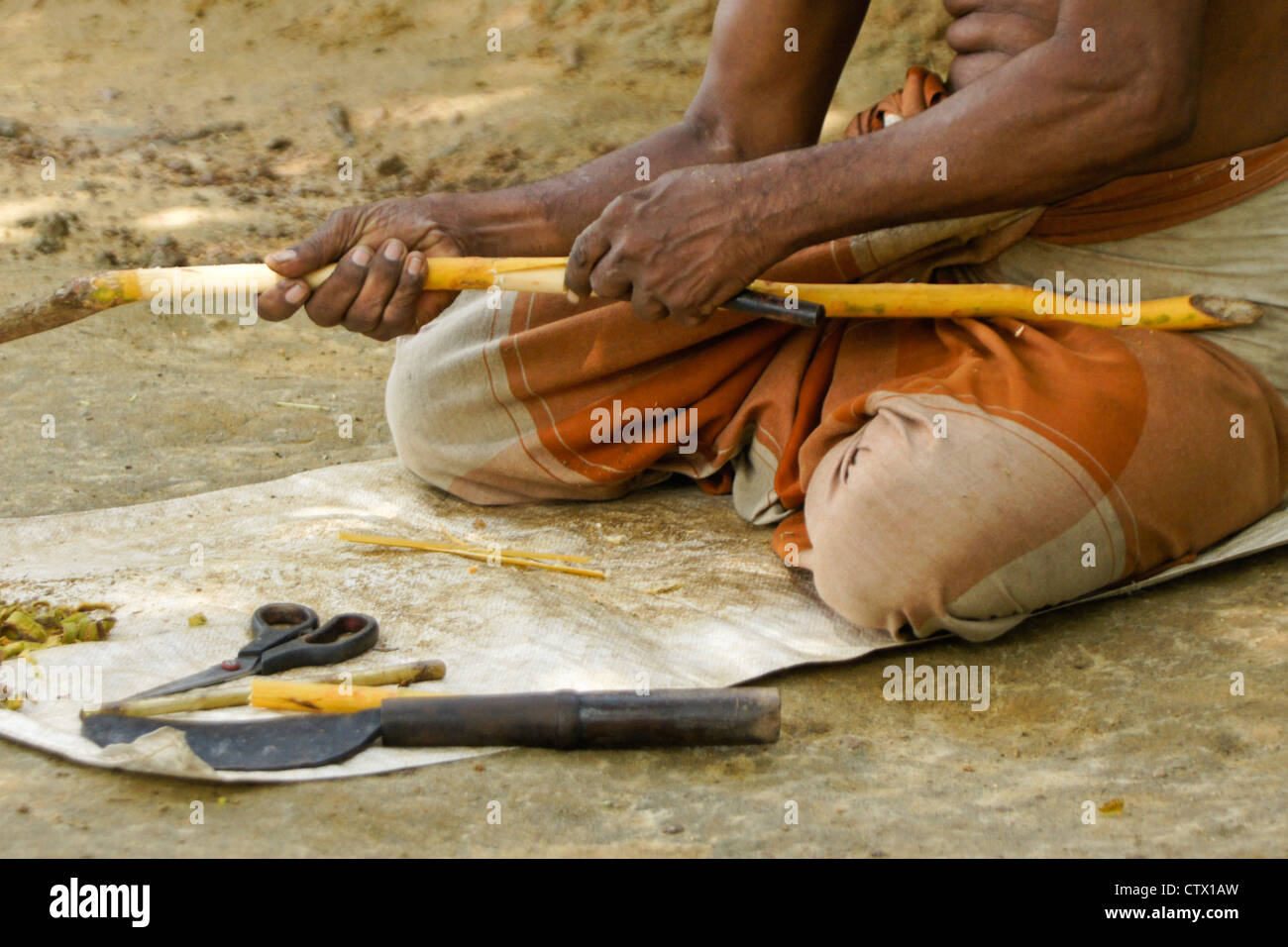 Man peeling cinnamon bark from branch, Sri Lanka Stock Photo