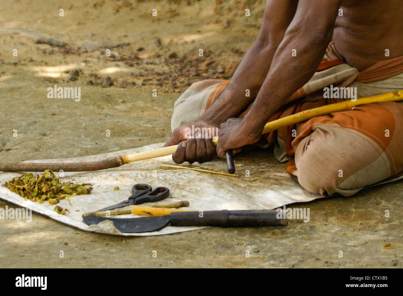 Man peeling cinnamon bark from branch, Sri Lanka Stock Photo