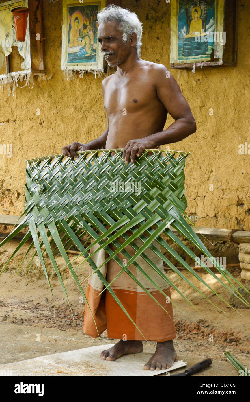 Man Showing Palm Leaf Woven Into Mat Sri Lanka Stock Photo