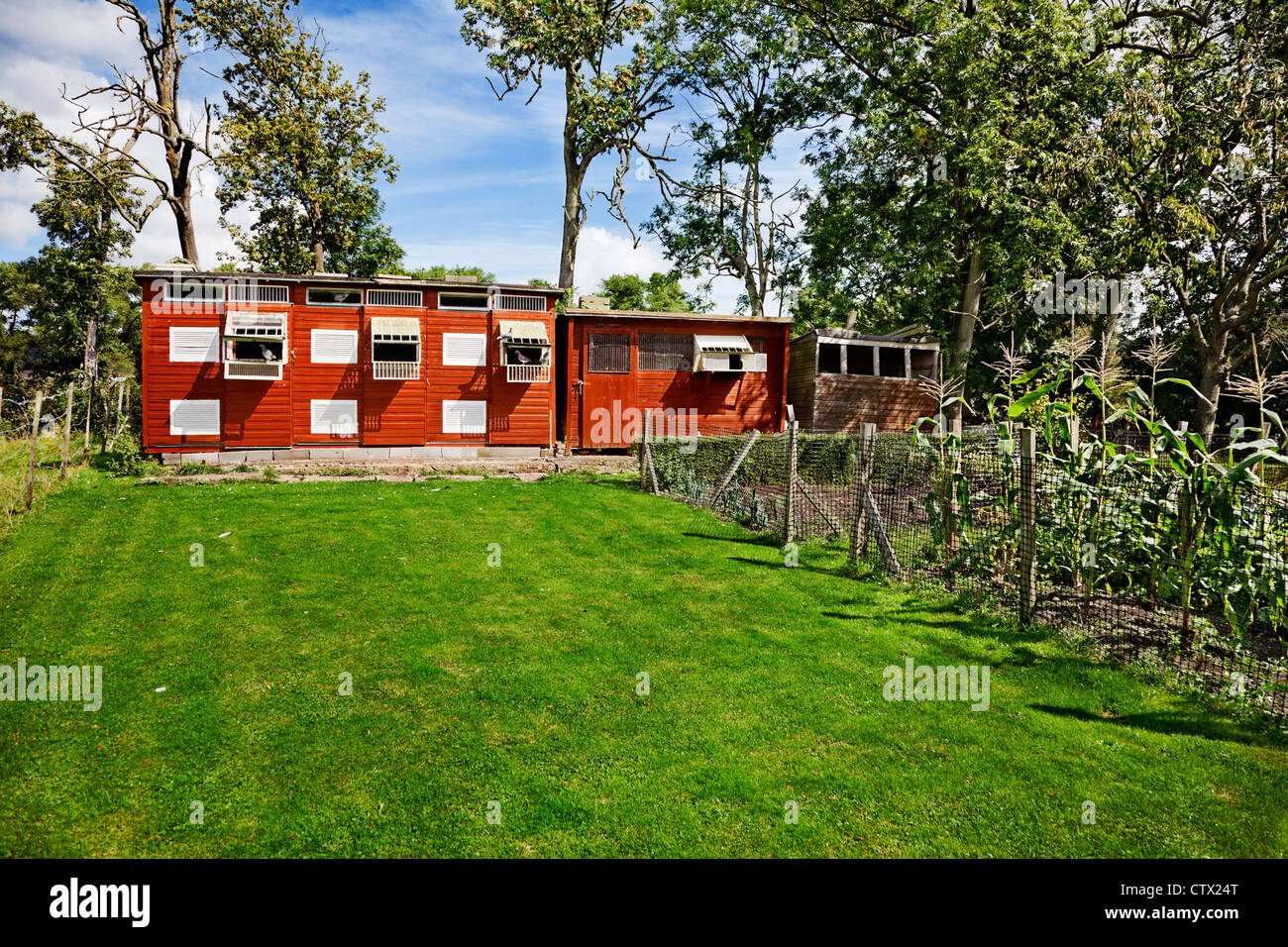 Pigeon Coop Stock Photos Pigeon Coop Stock Images Alamy