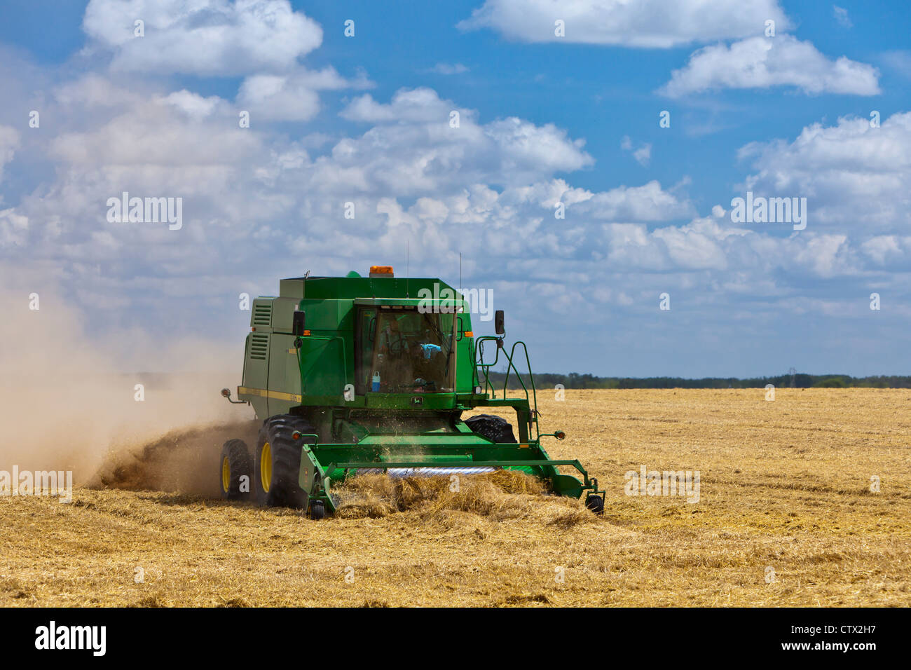 A John Deere combine harvesting wheat near Notre Dame de Lourdes, Manitoba, Canada. Stock Photo
