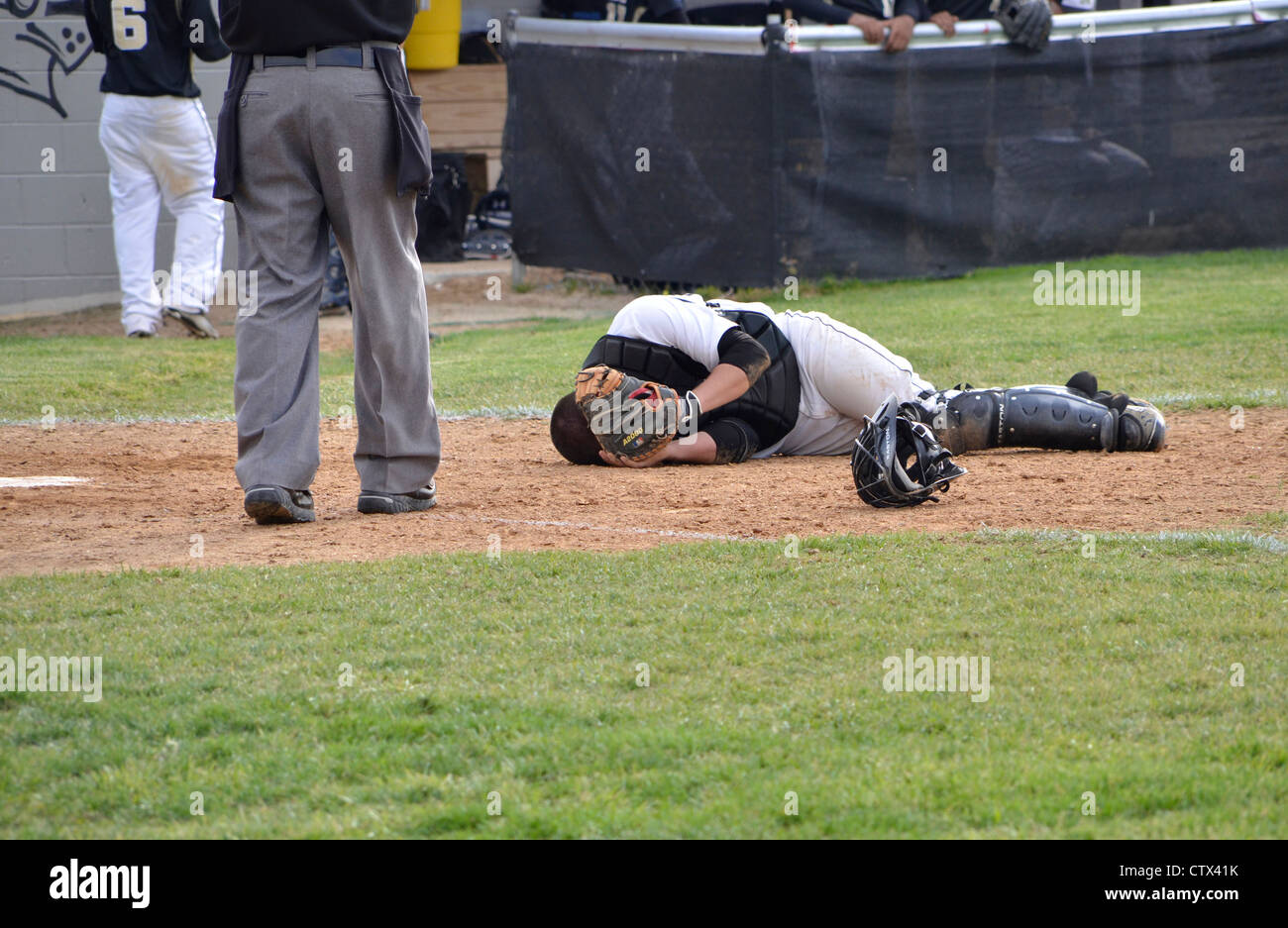 injured baseball player Stock Photo Alamy