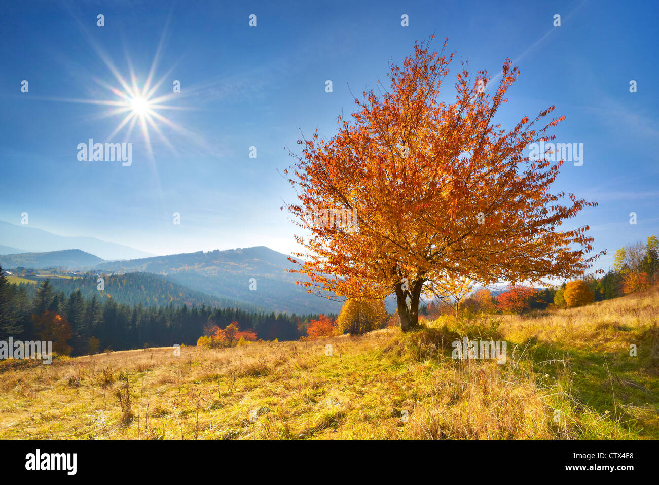 Autumn scene in Beskidy Mountains, Poland Stock Photo