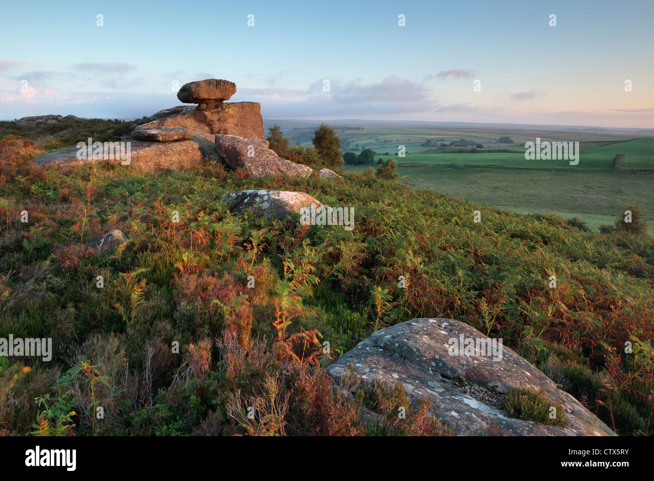 Sunset Brimham Rocks Brimham Rocks and Moor at sunrise near Summerbridge in Nidderdale ...