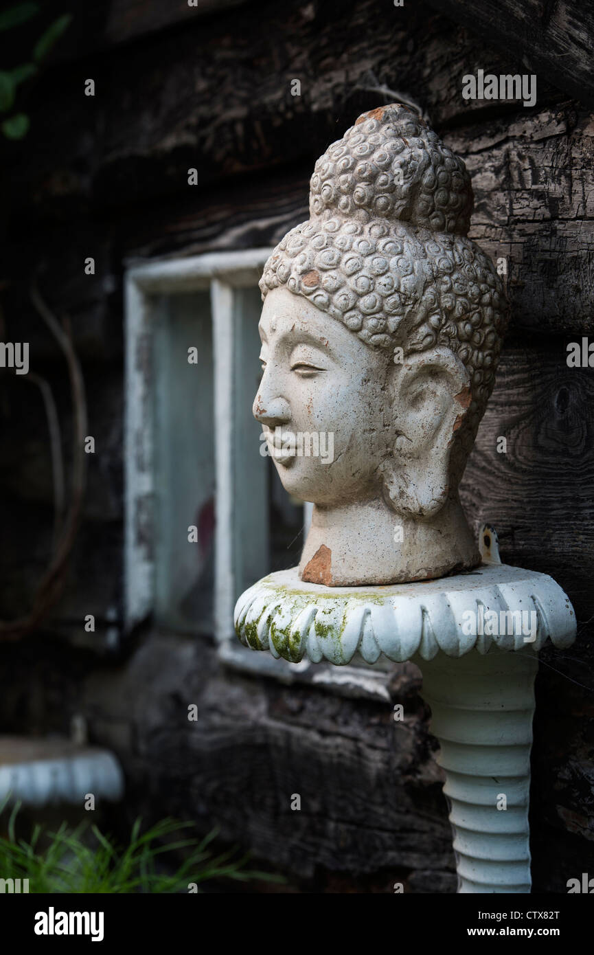 Buddha head garden statue Stock Photo Alamy