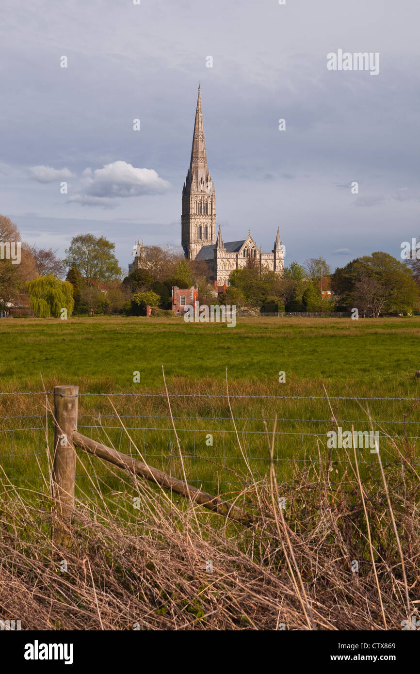 Salisbury cathedral and the west harnham water meadows in Wiltshire