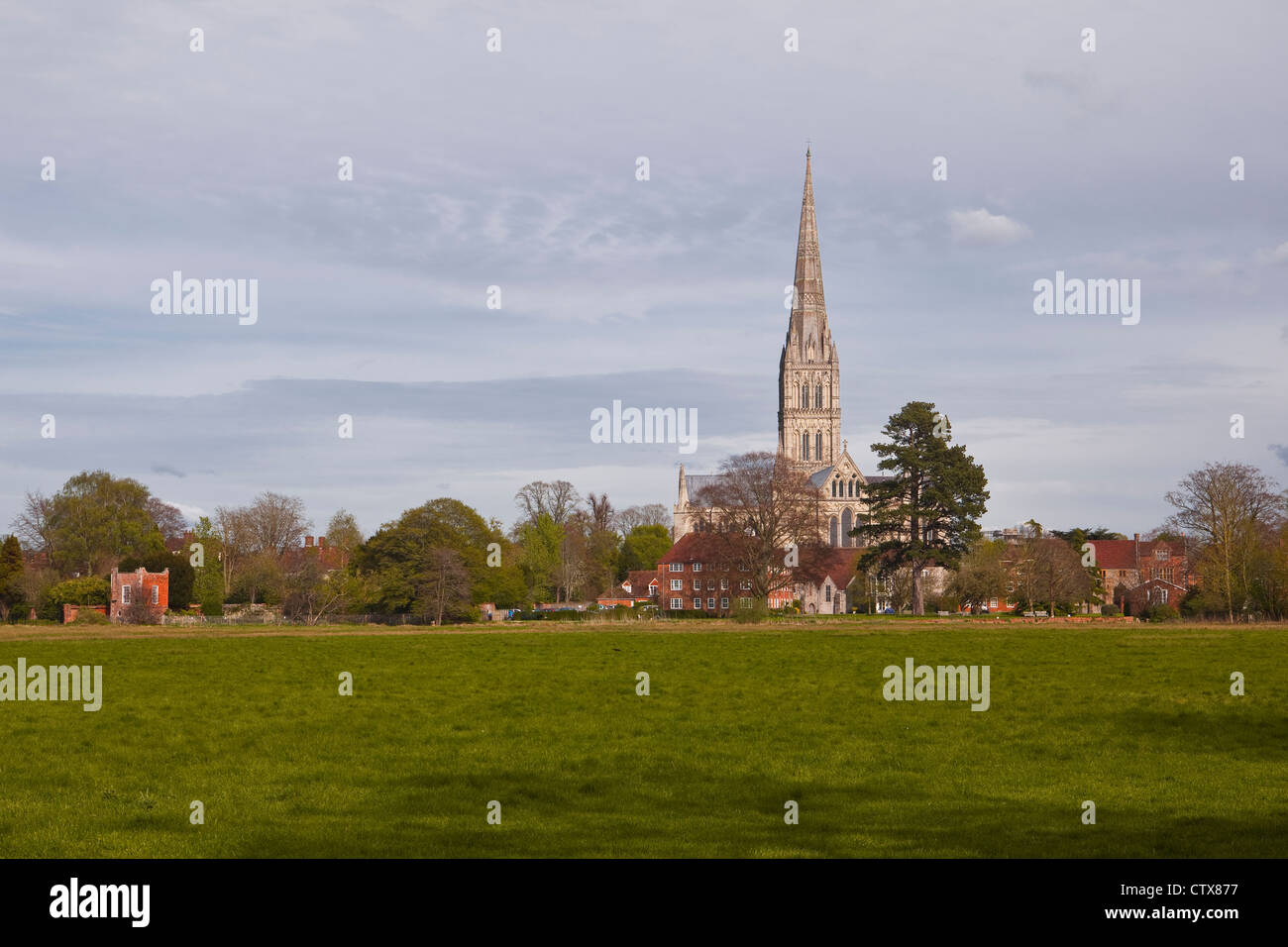 Salisbury cathedral and the west harnham water meadows in Wiltshire