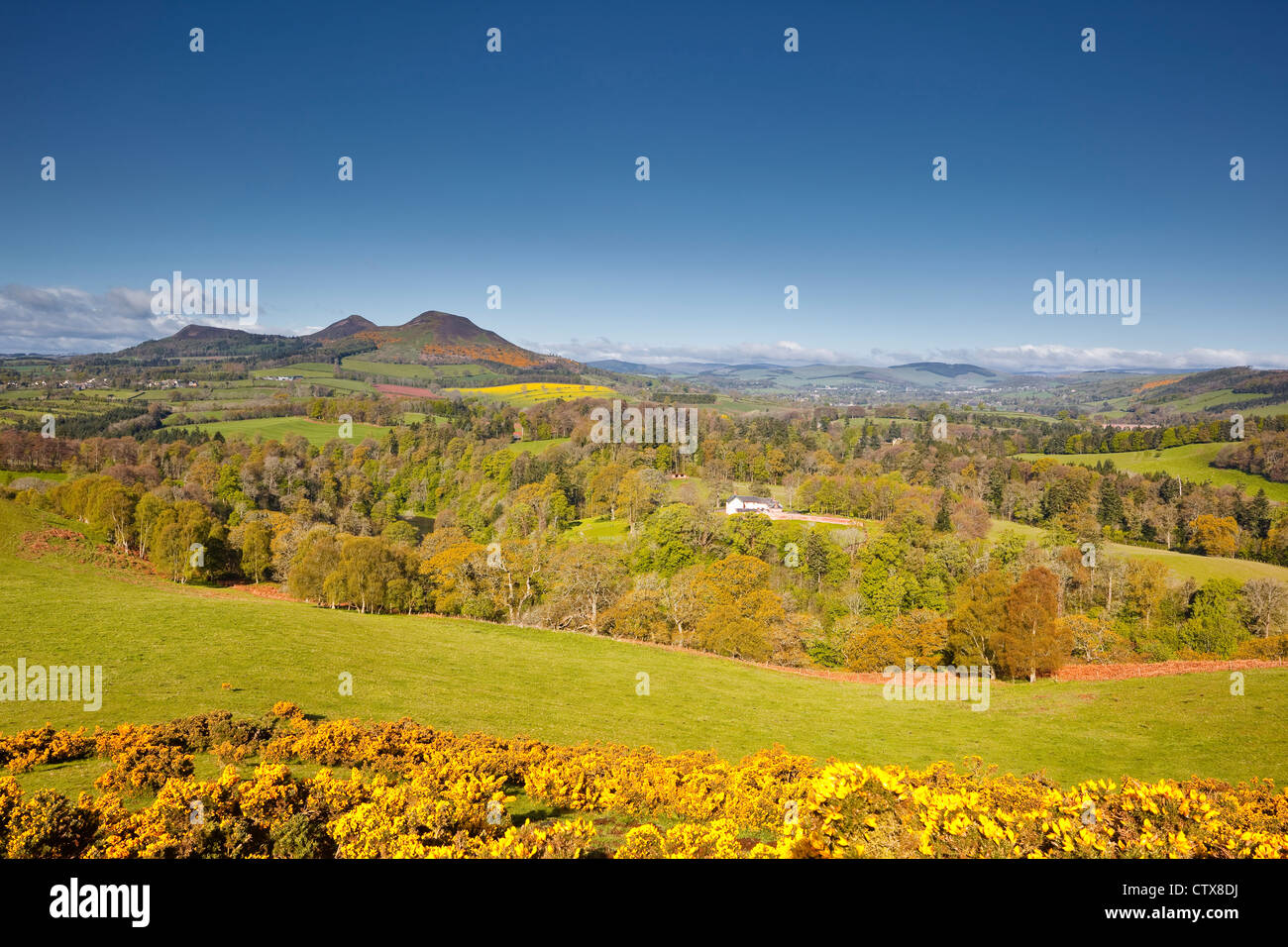 Scott's view in the Scottish Borders of the United Kingdom. Stock Photo