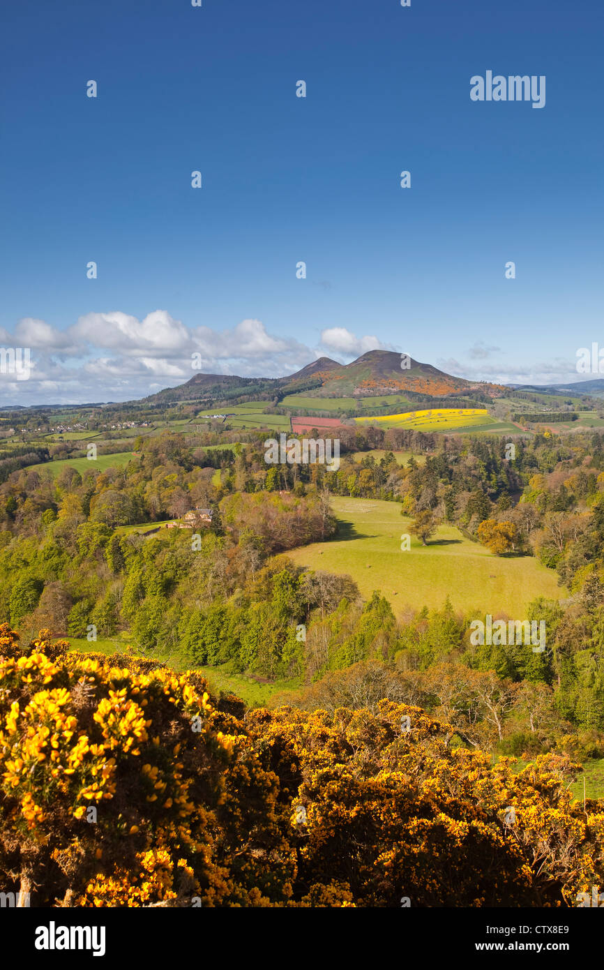 Scott's view in the Scottish Borders of the United Kingdom. Stock Photo