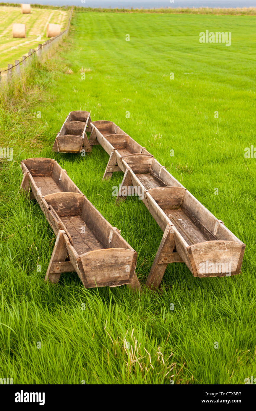 Animal feeding trough hires stock photography and images Alamy