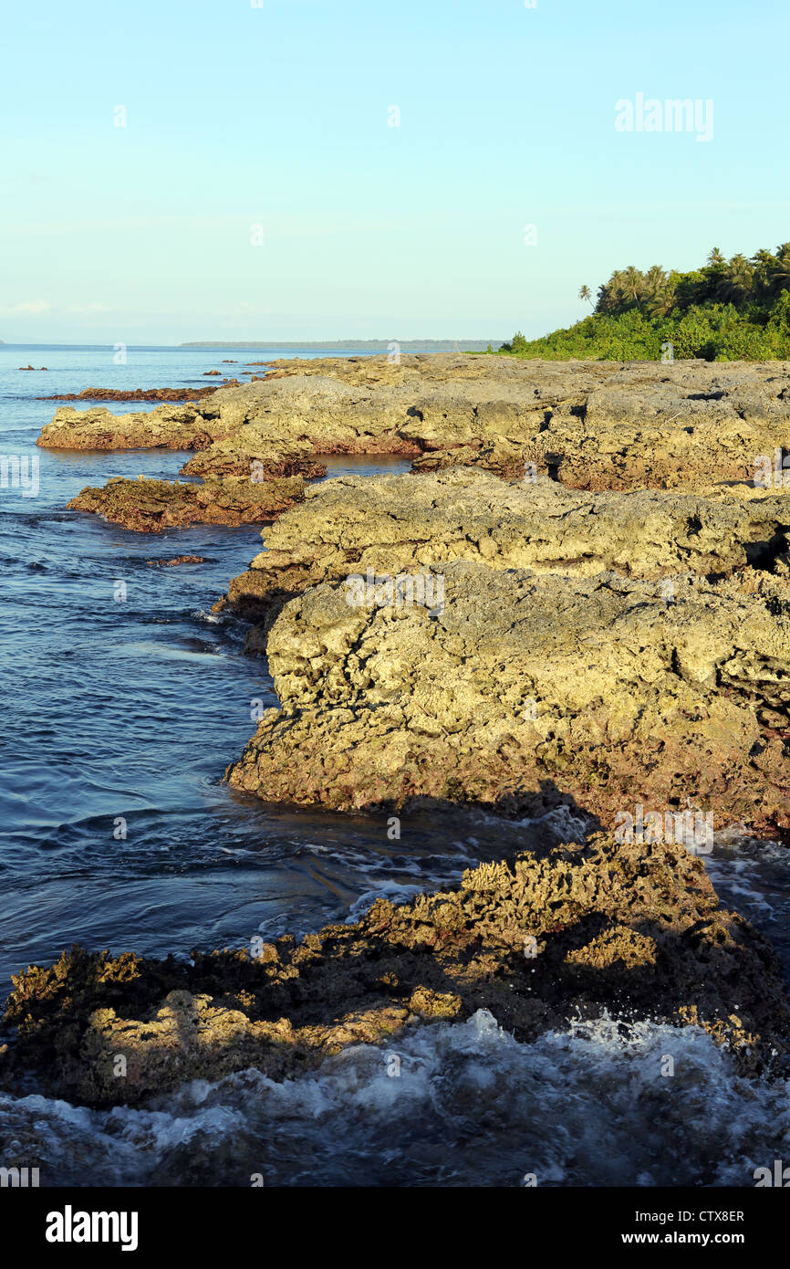 Exposed coral reef on Asu Island in the Hinako archipelago, North
