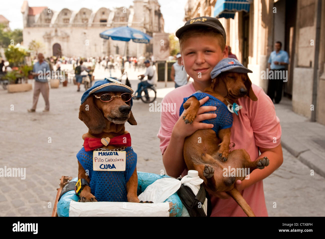 Performing Dogs Performing Dogs High Resolution Stock Photography and Images - Alamy