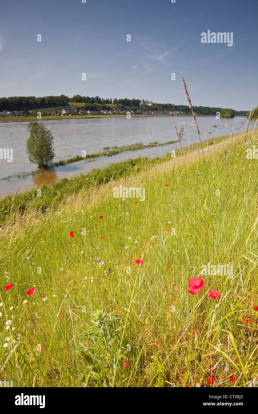 Looking across to Chaumont-sur-Loire in France. Stock Photo
