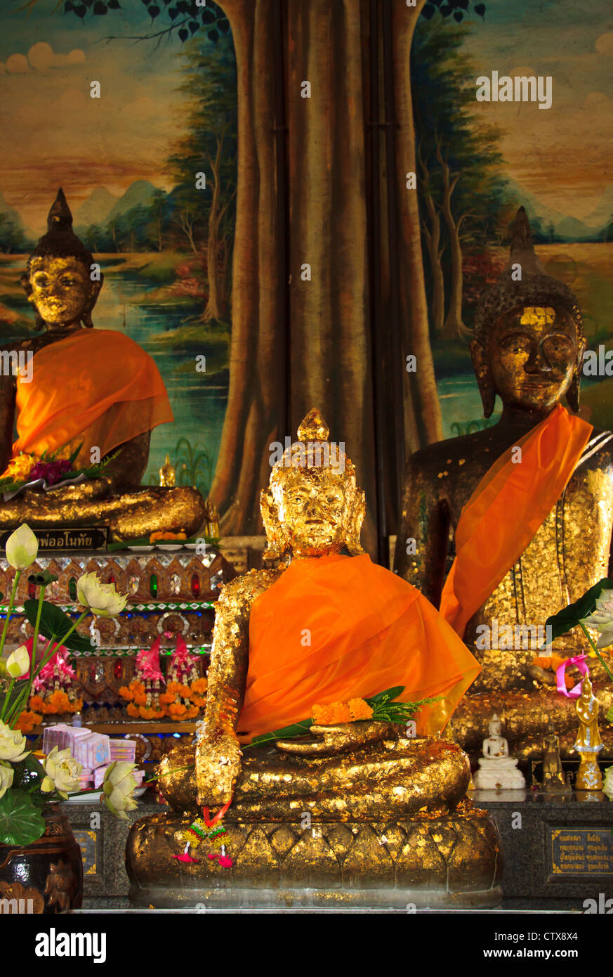 Buddha statue in Thailand Stock Photo - Alamy