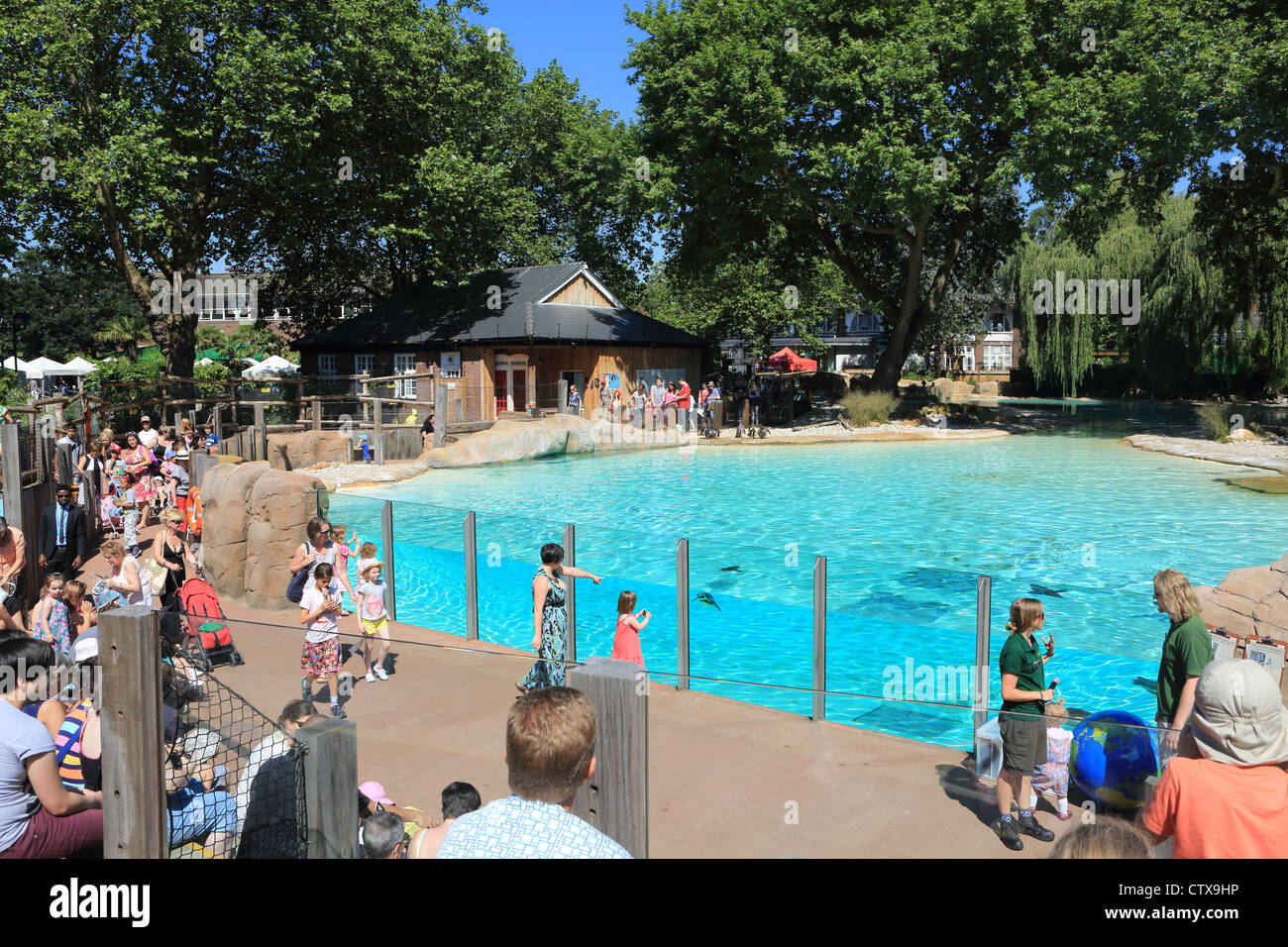 The new (2011) popular Penguin Beach attraction at London Zoo, in the