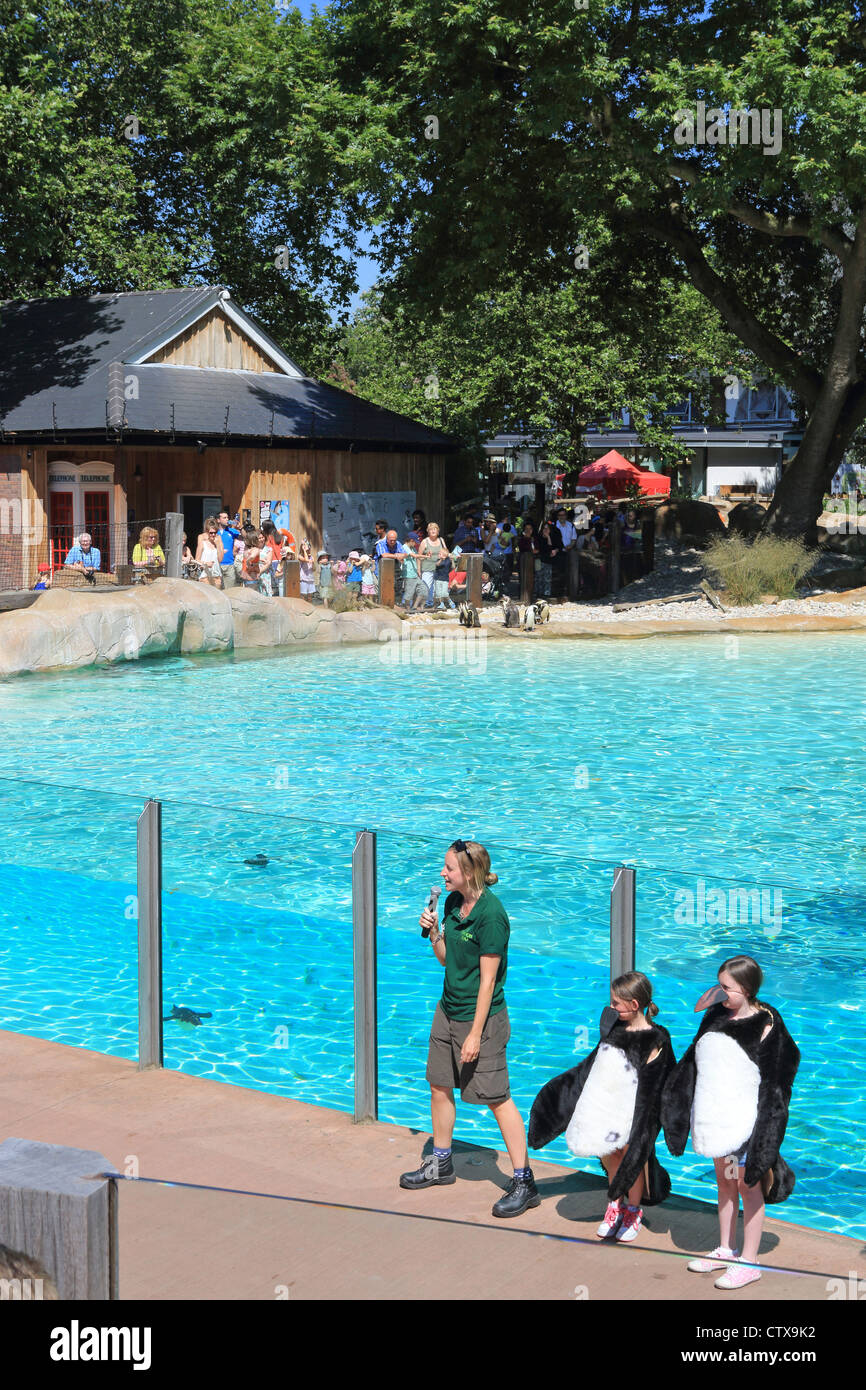 The new (2011) popular Penguin Beach attraction at London Zoo, in the UK Stock Photo