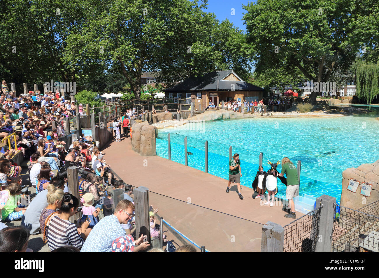 The new (2011) popular Penguin Beach attraction at London Zoo, in the UK Stock Photo