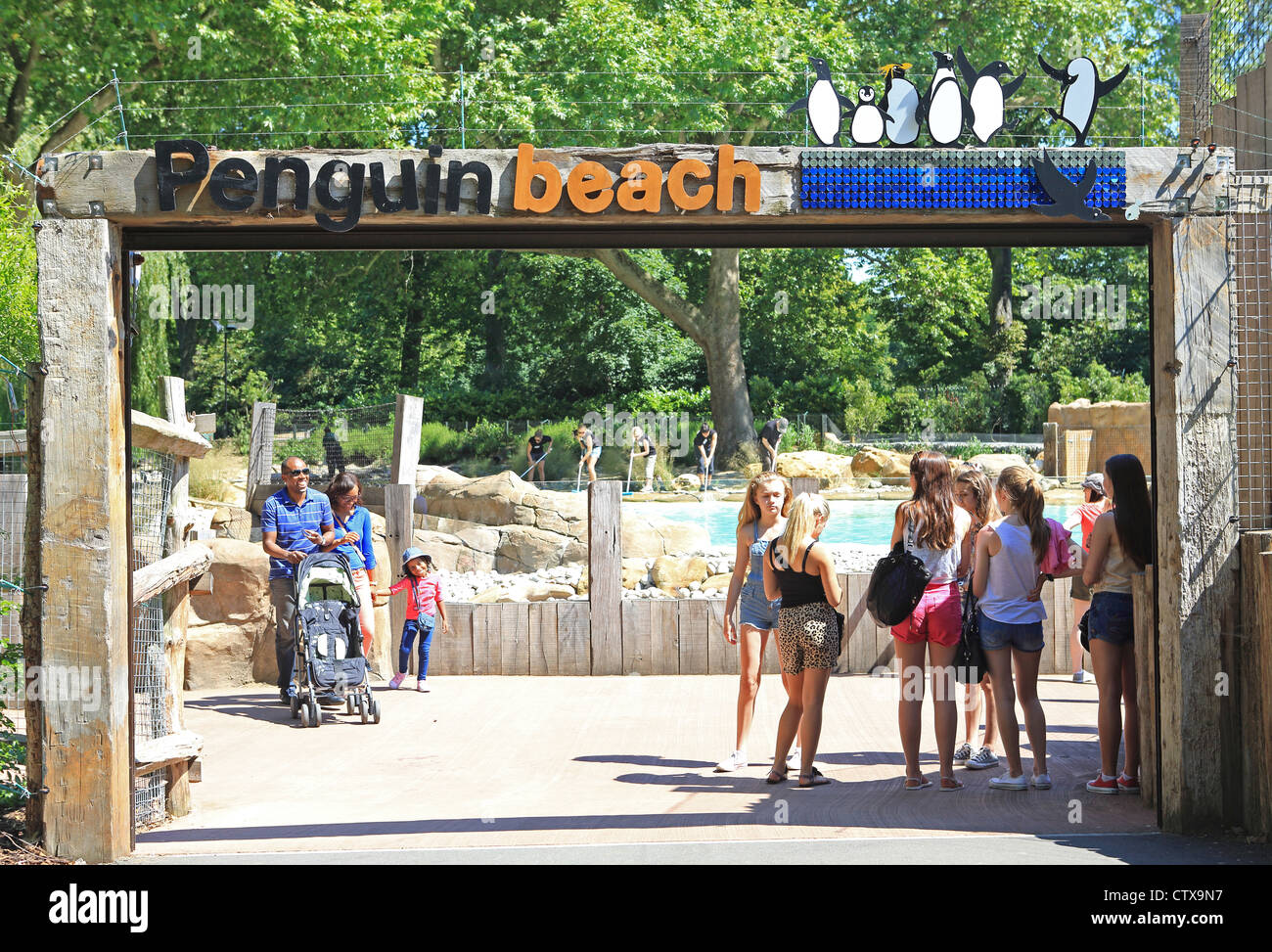 The new (2011) popular Penguin Beach attraction at London Zoo, in the