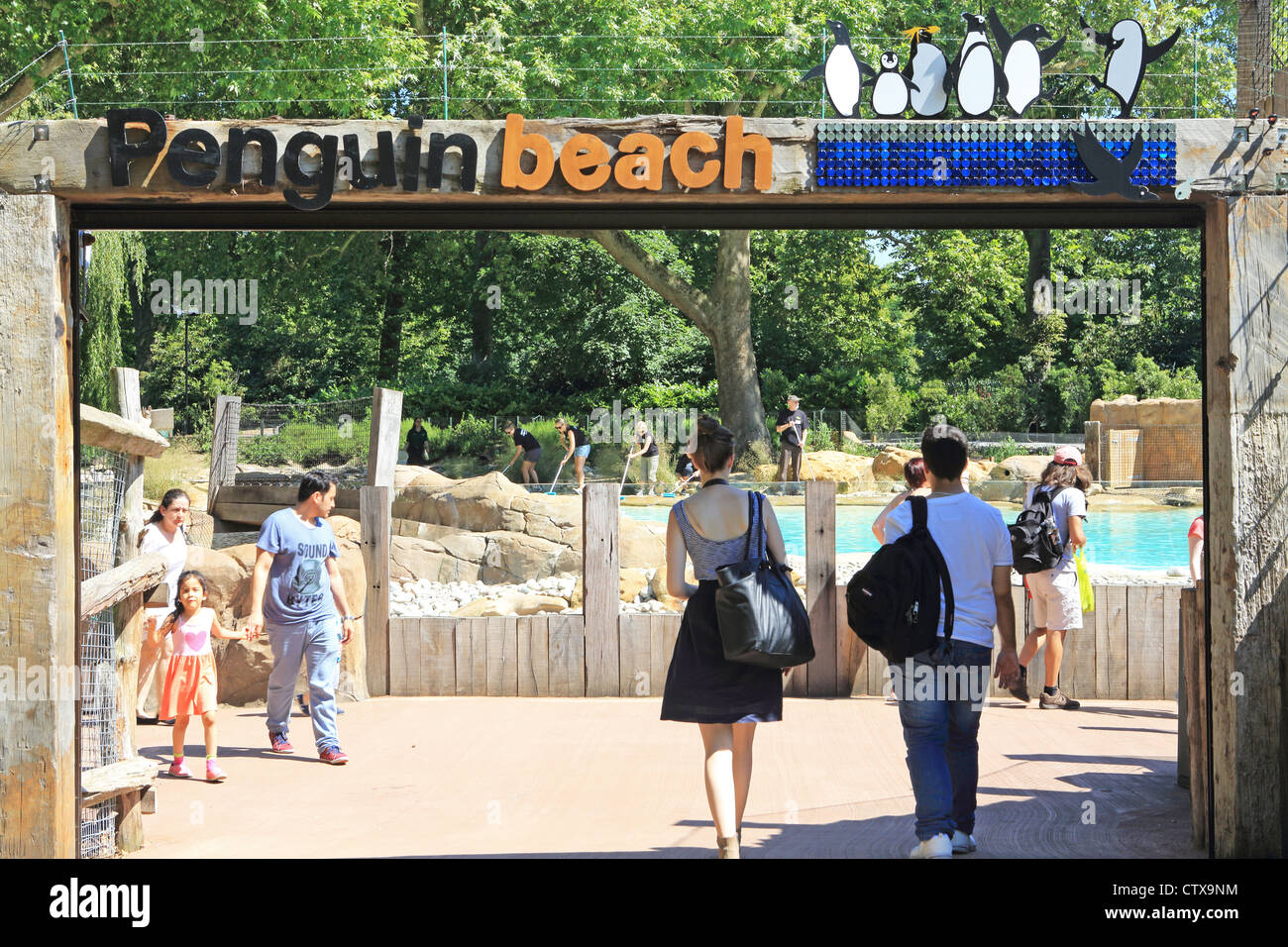 The new (2011) popular Penguin Beach attraction at London Zoo, in the