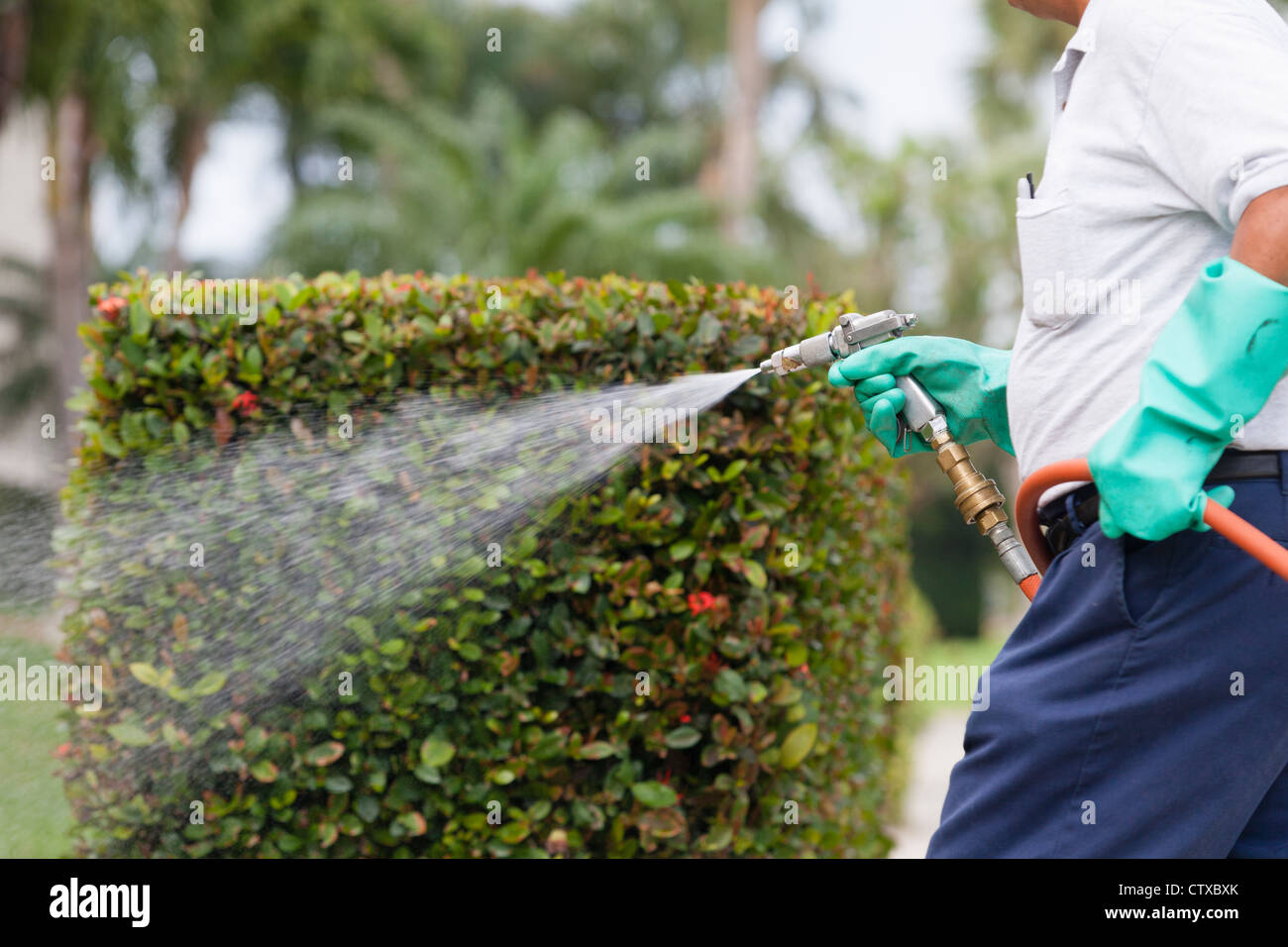 Insecticide spray gun hires stock photography and images Alamy